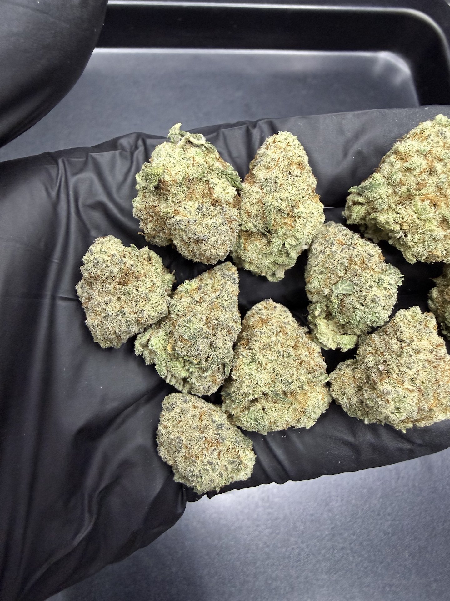 L.A. Banana Cake THC 25-30% - Image 4