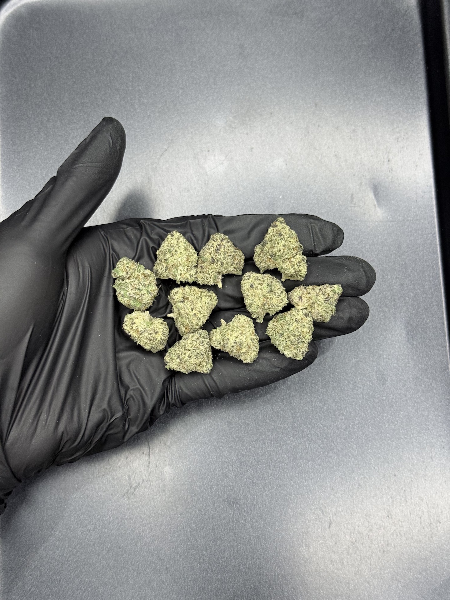 Galaxy Toad THC 25-30% - Image 2