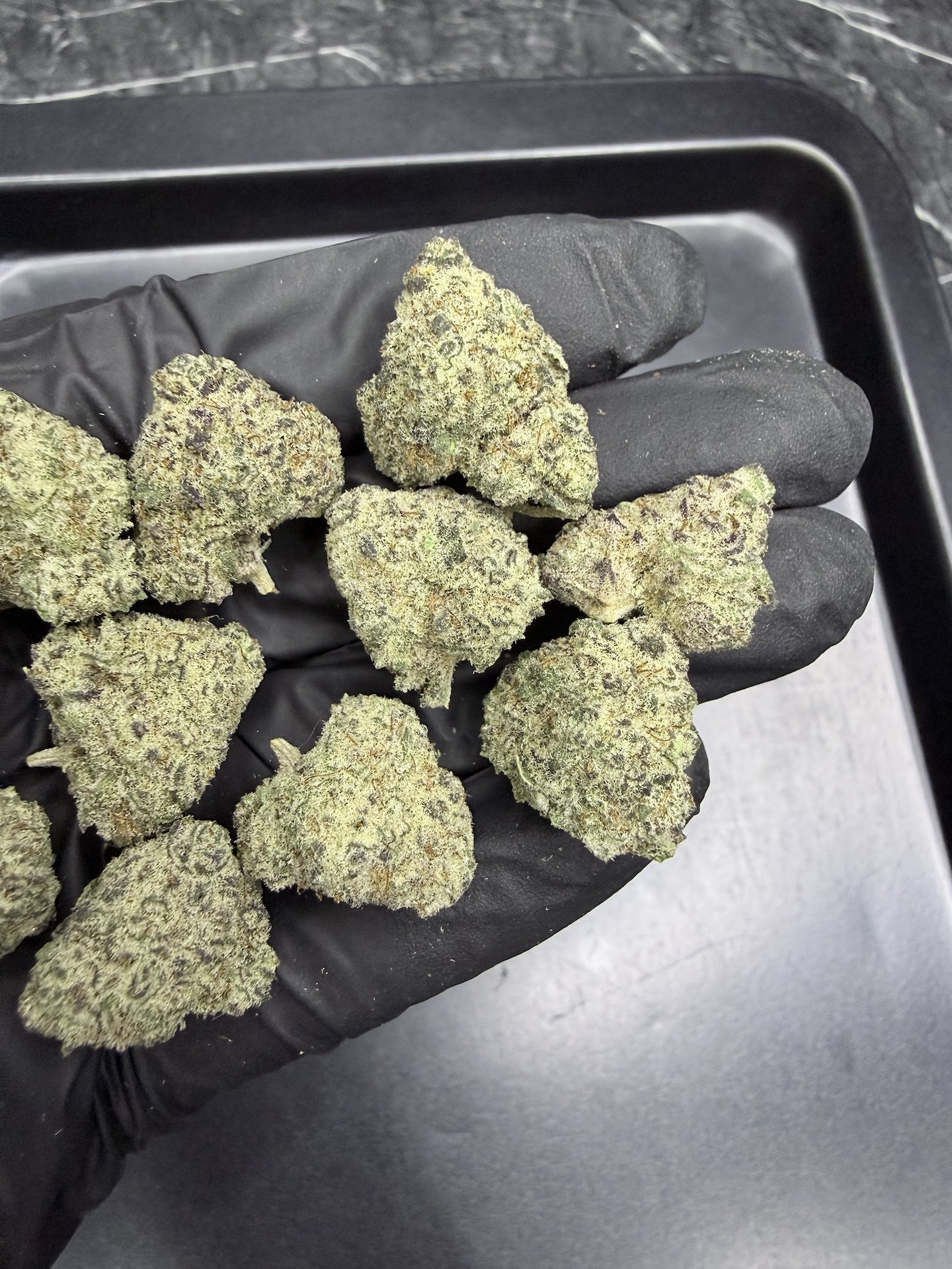 Galaxy Toad THC 25-30% - Image 5