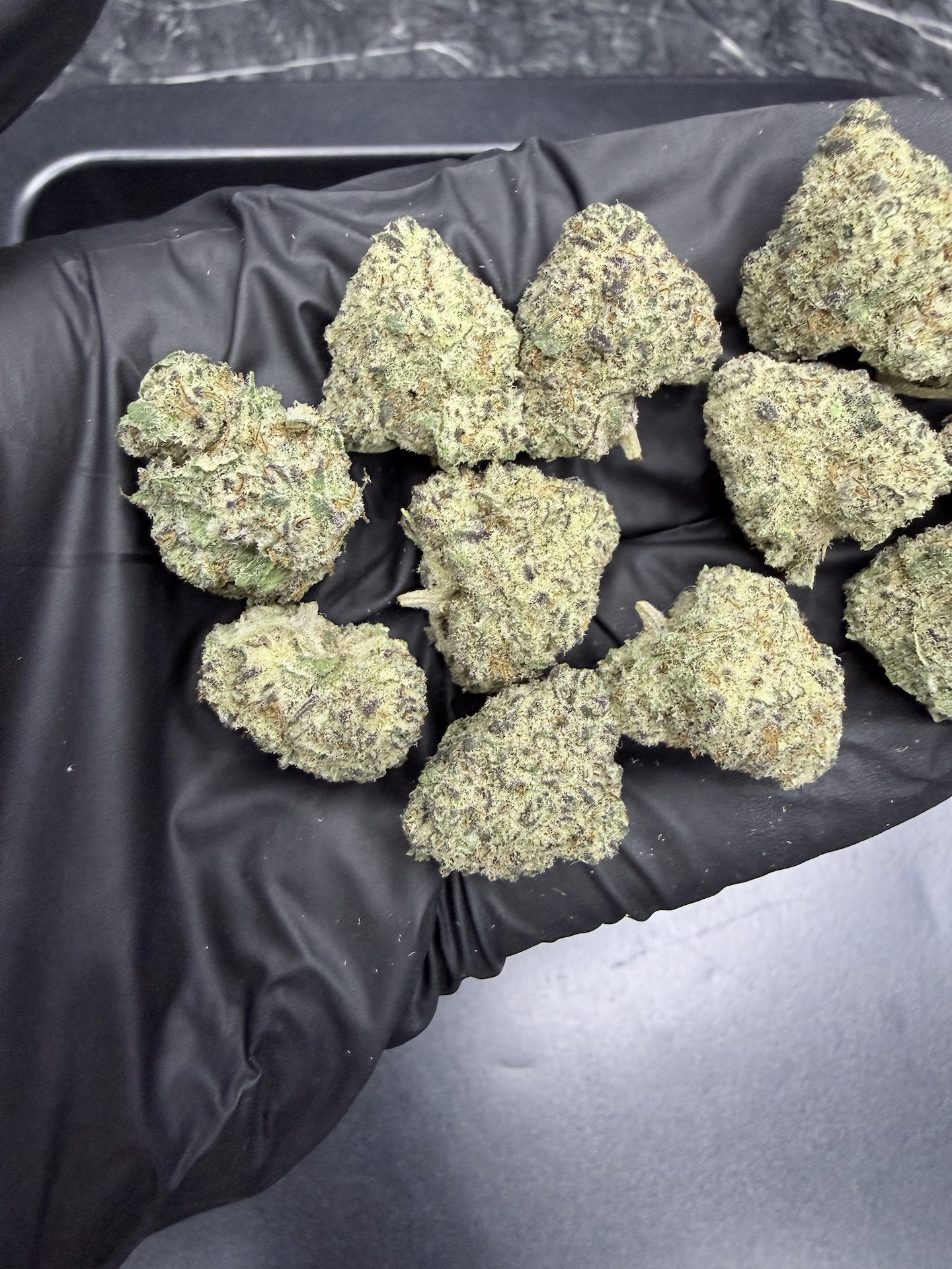 Galaxy Toad THC 25-30% - Image 4