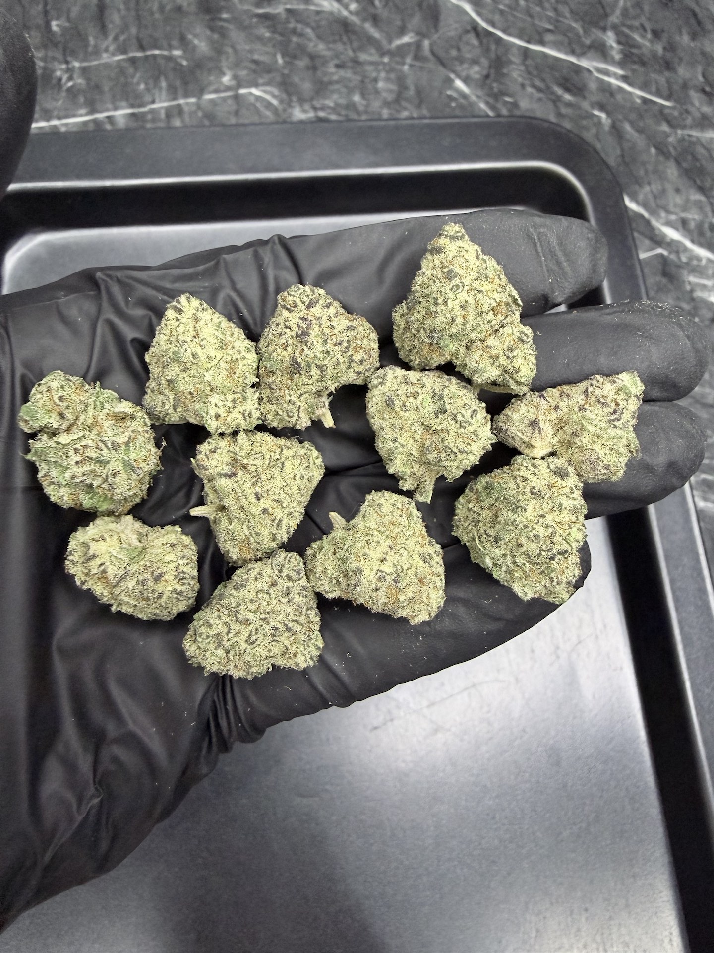 Galaxy Toad THC 25-30% - Image 3