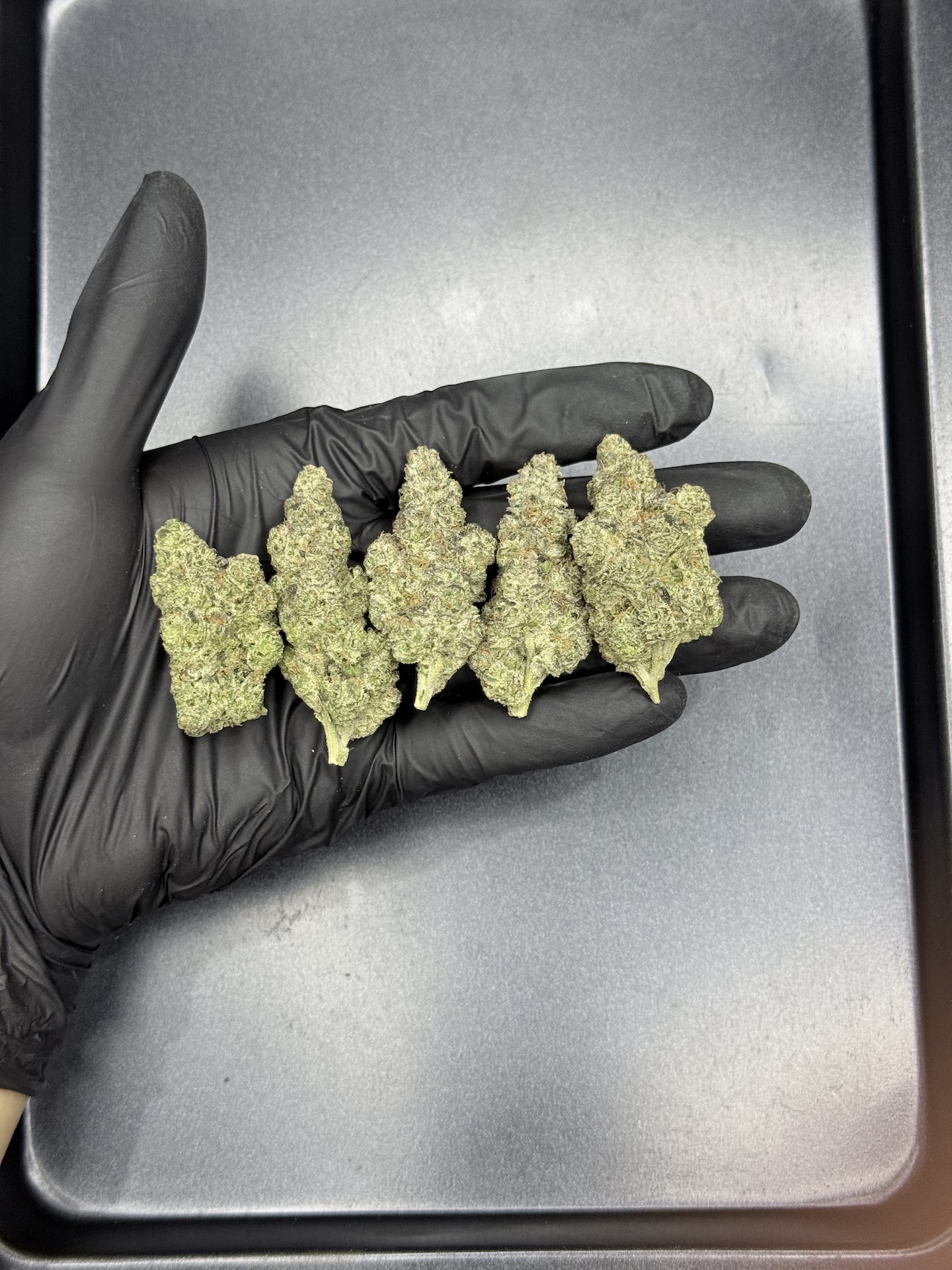 Candy Fumez By. Bloom Seed THC 25-30% ð - Image 2
