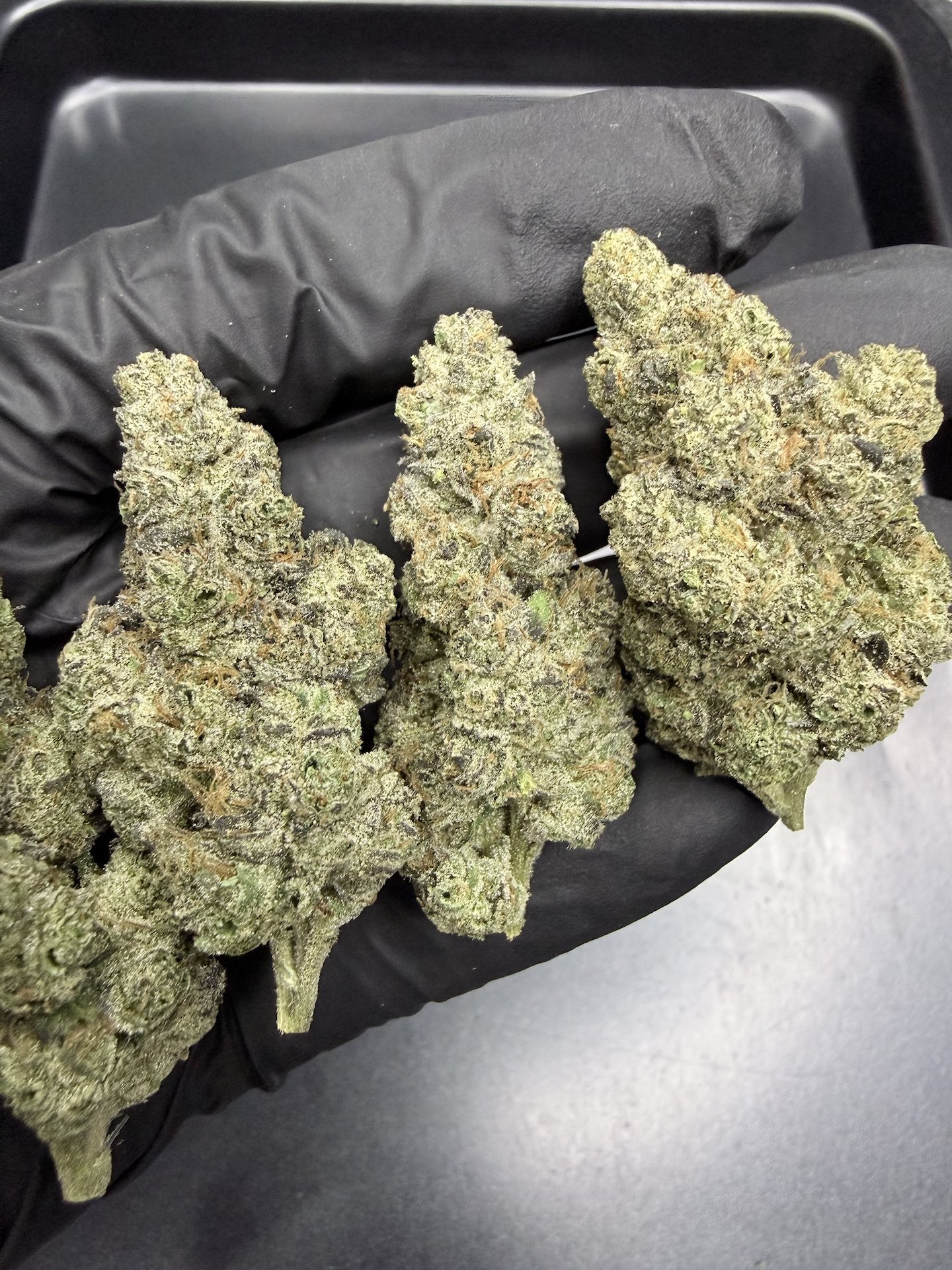 Candy Fumez By. Bloom Seed THC 25-30% ð - Image 5