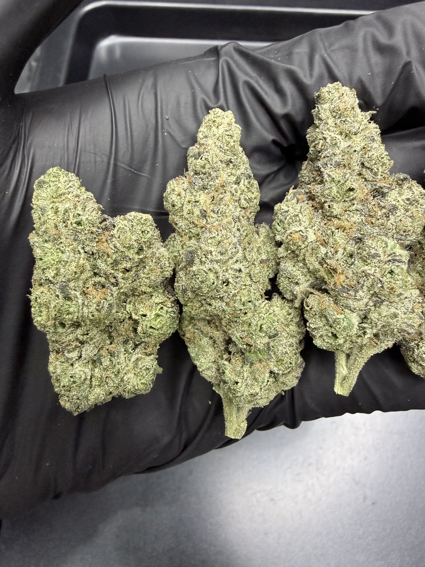 Candy Fumez By. Bloom Seed THC 25-30% ð - Image 4