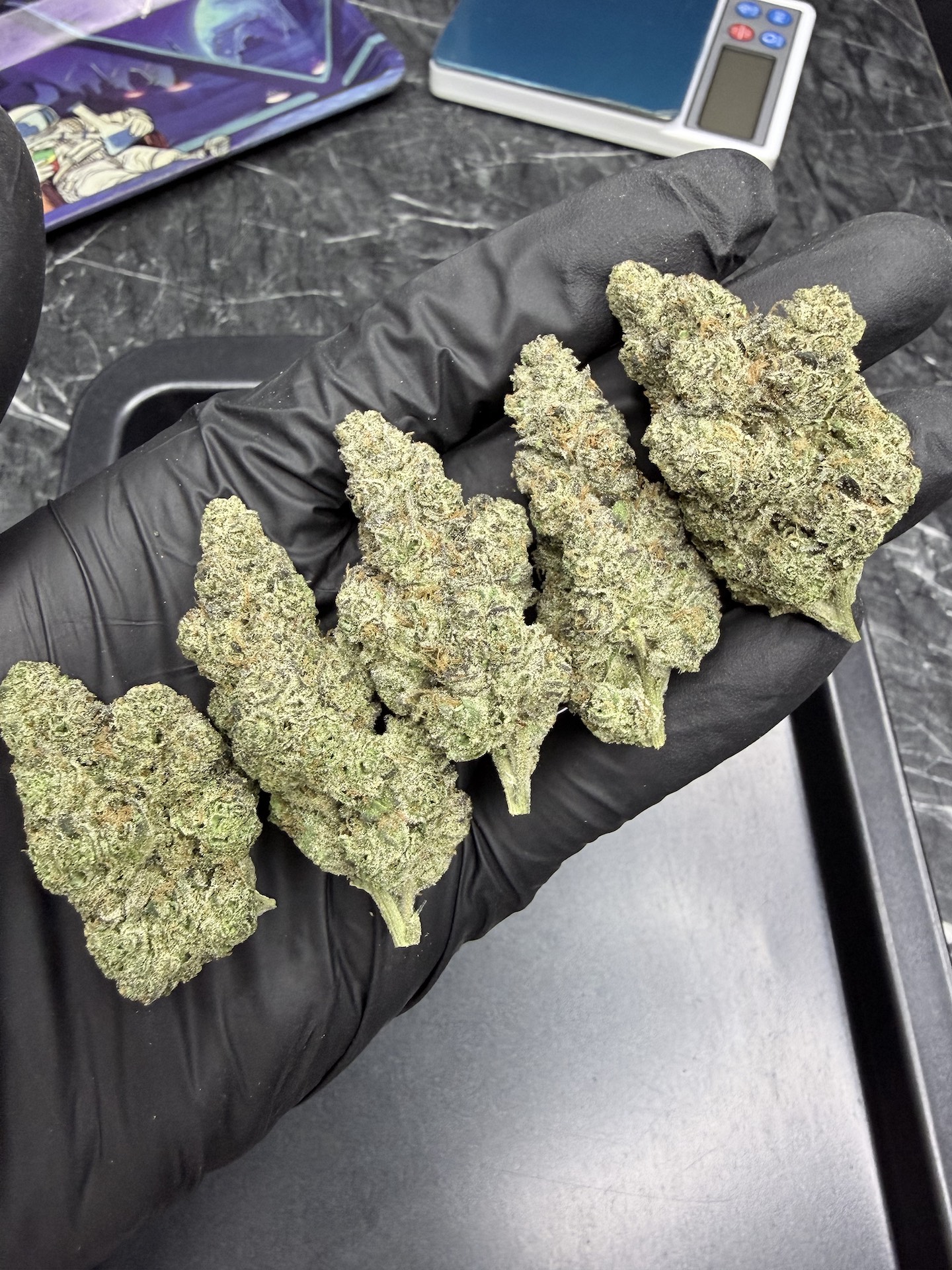 Candy Fumez By. Bloom Seed THC 25-30% ð - Image 3