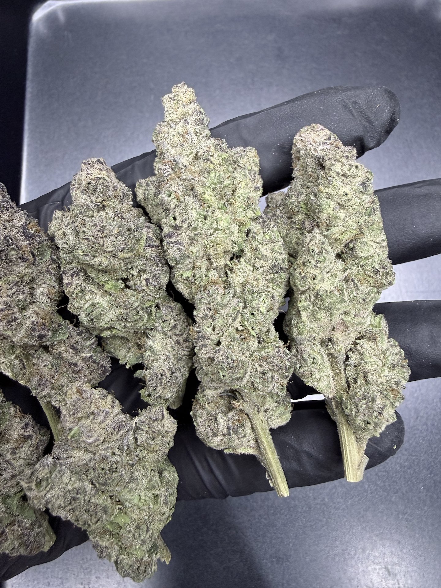 Oreo Blizzard S1 By. Copycat Genetix THC 35-36% ð - Image 5