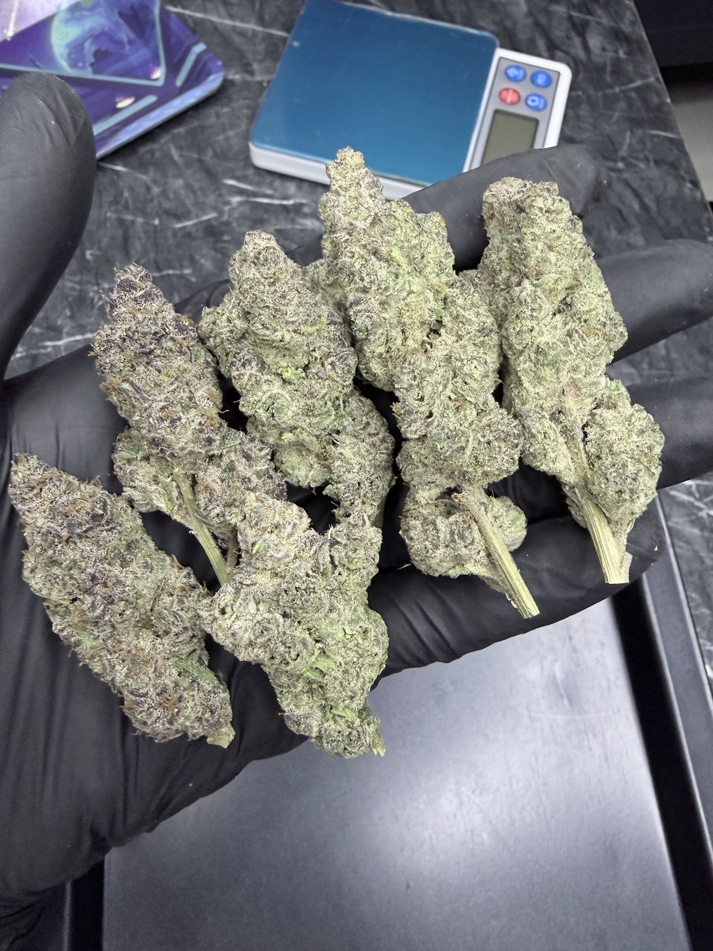 Oreo Blizzard S1 By. Copycat Genetix THC 35-36% ð - Image 3