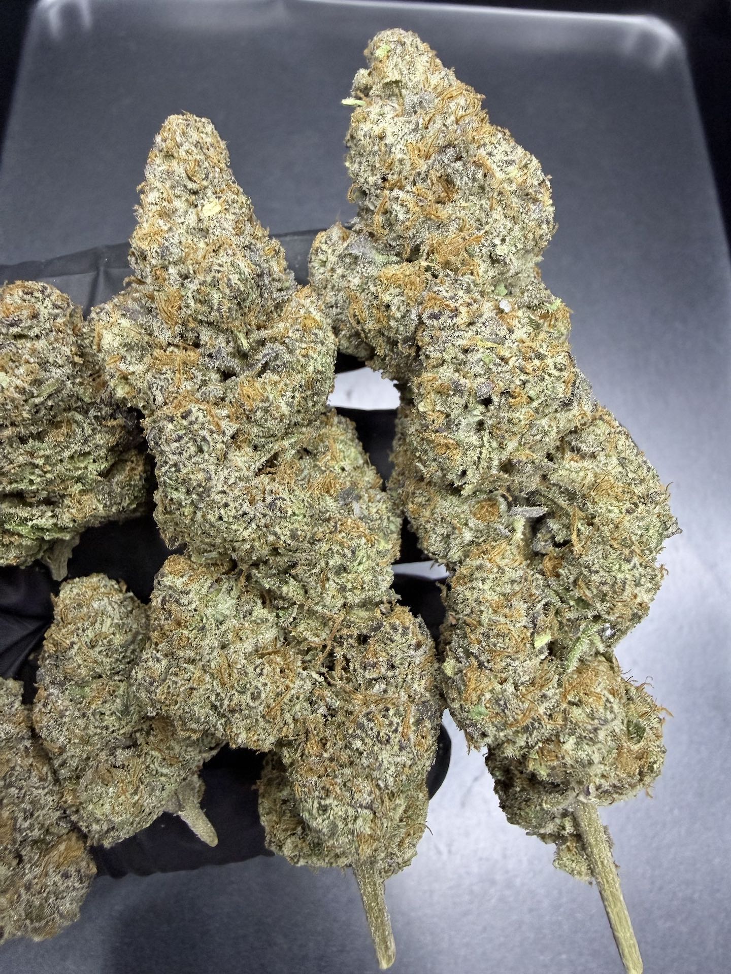 Wedding Crasher By. Symbiotic Genetics THC 25-30% ð - Image 4