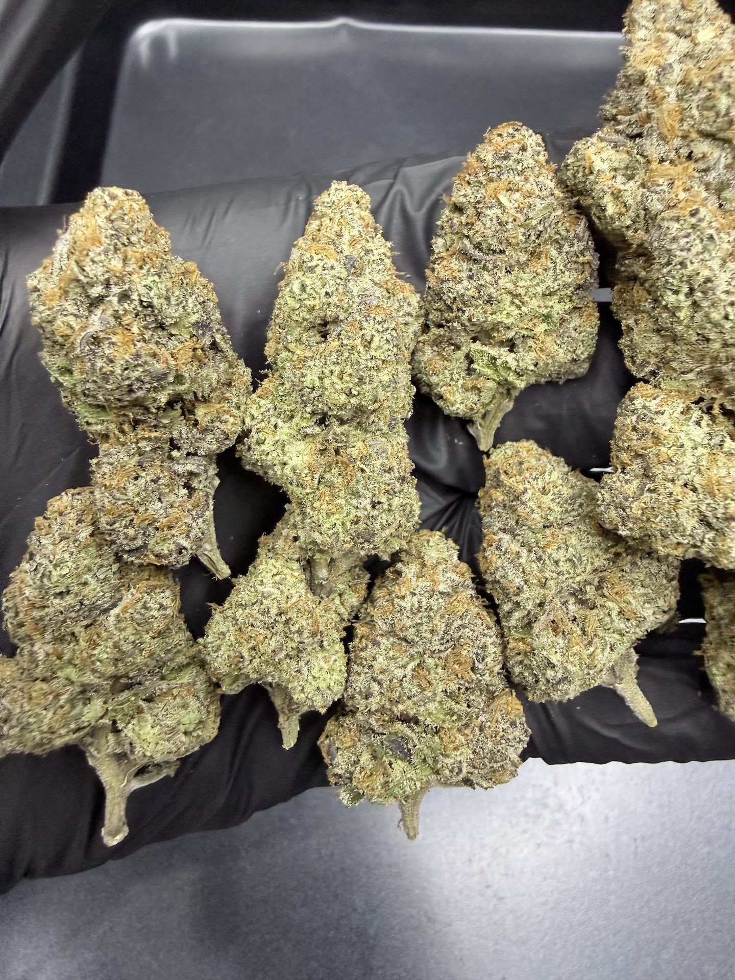 Wedding Crasher By. Symbiotic Genetics THC 25-30% ð - Image 5