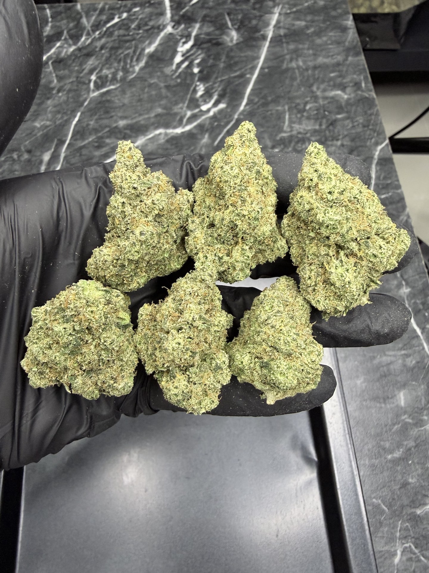 Lemon Drip By. Exotic Genetix THC 25-30% - Image 3
