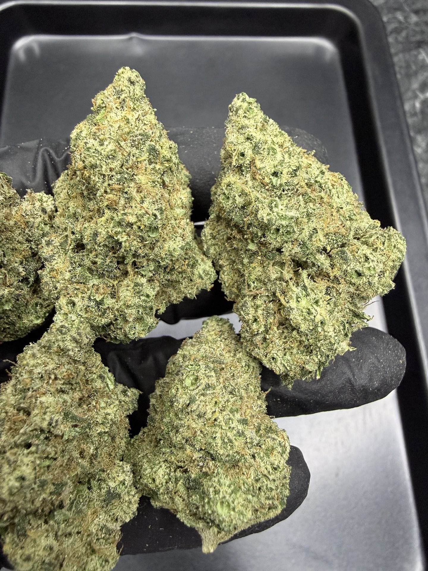 Lemon Drip By. Exotic Genetix THC 25-30% - Image 5