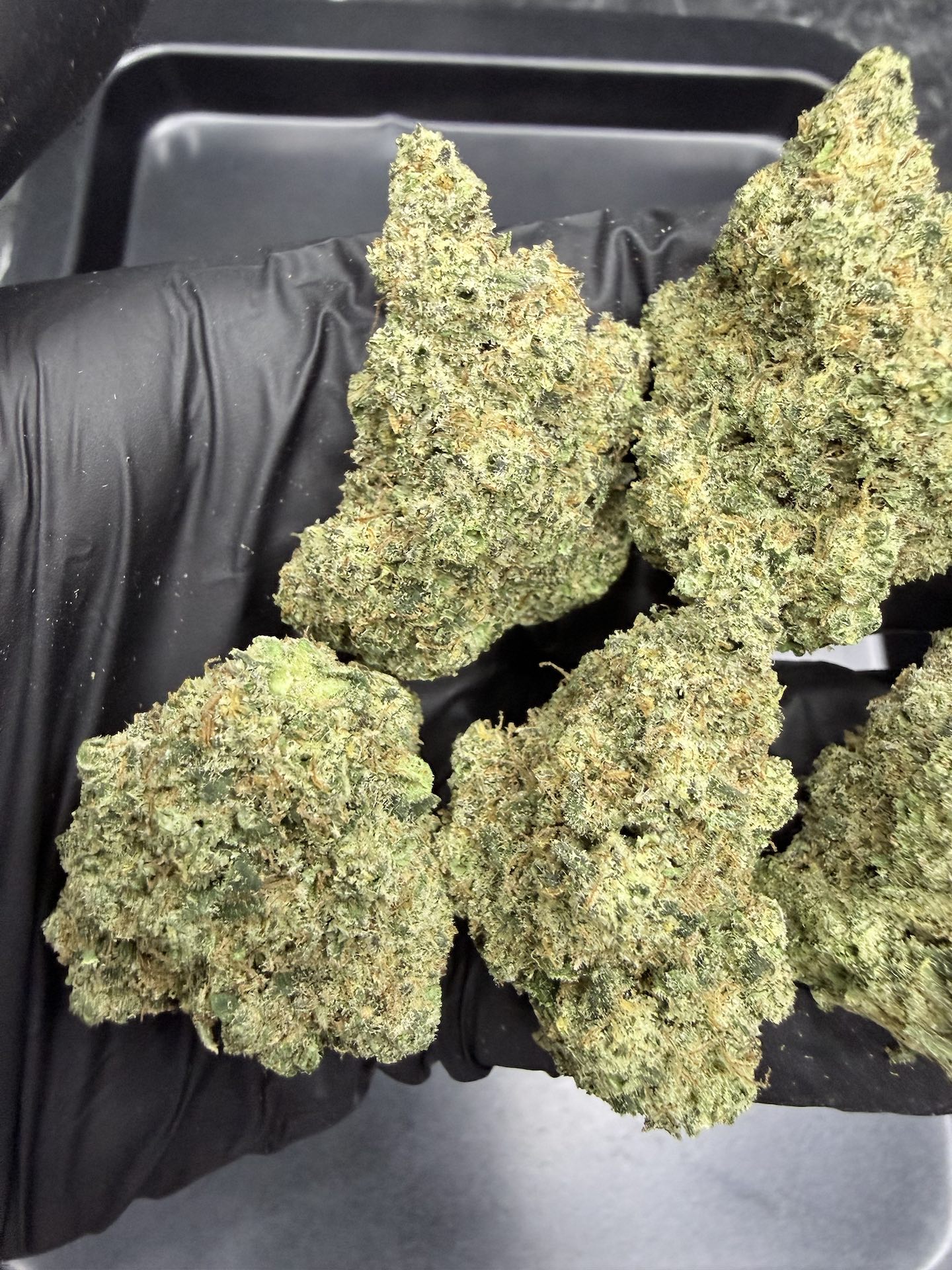 Lemon Drip By. Exotic Genetix THC 25-30% - Image 4