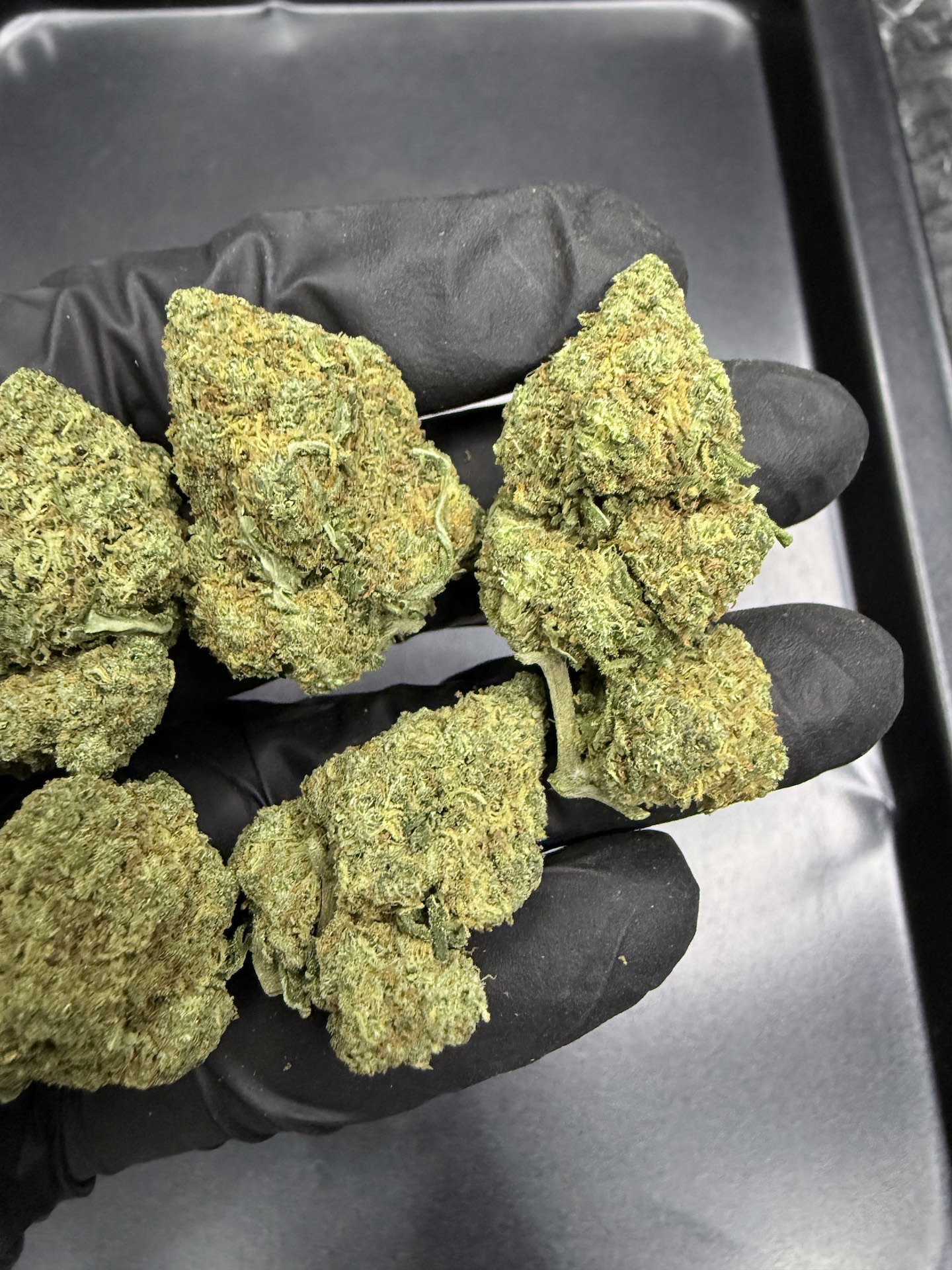 End Game THC 25%+ ðļ - Image 4