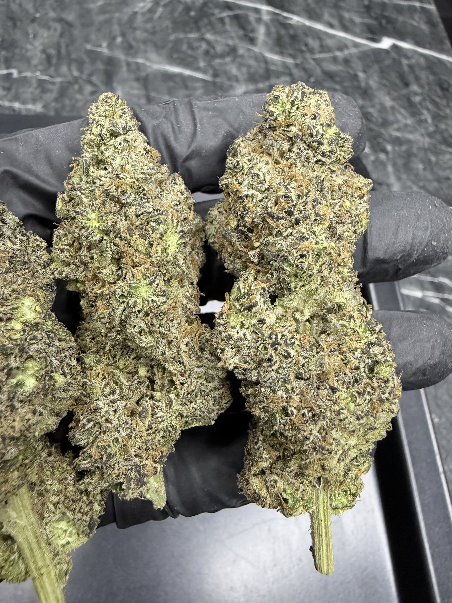 Gypsy Road By. Honey Sticks Genetics THC 30%+ 🌕 - Image 3