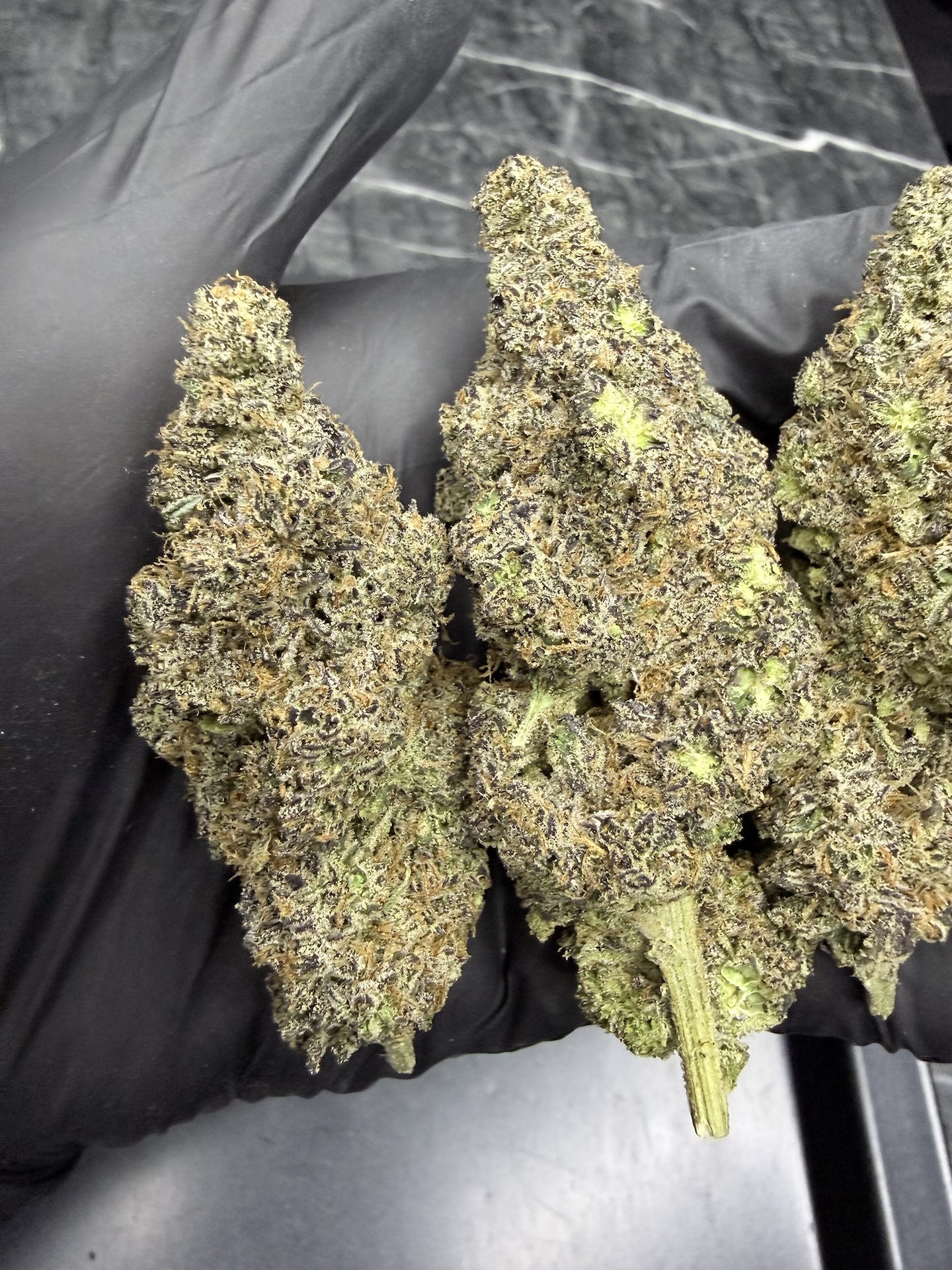 Gypsy Road By. Honey Sticks Genetics THC 30%+ 🌕 - Image 4