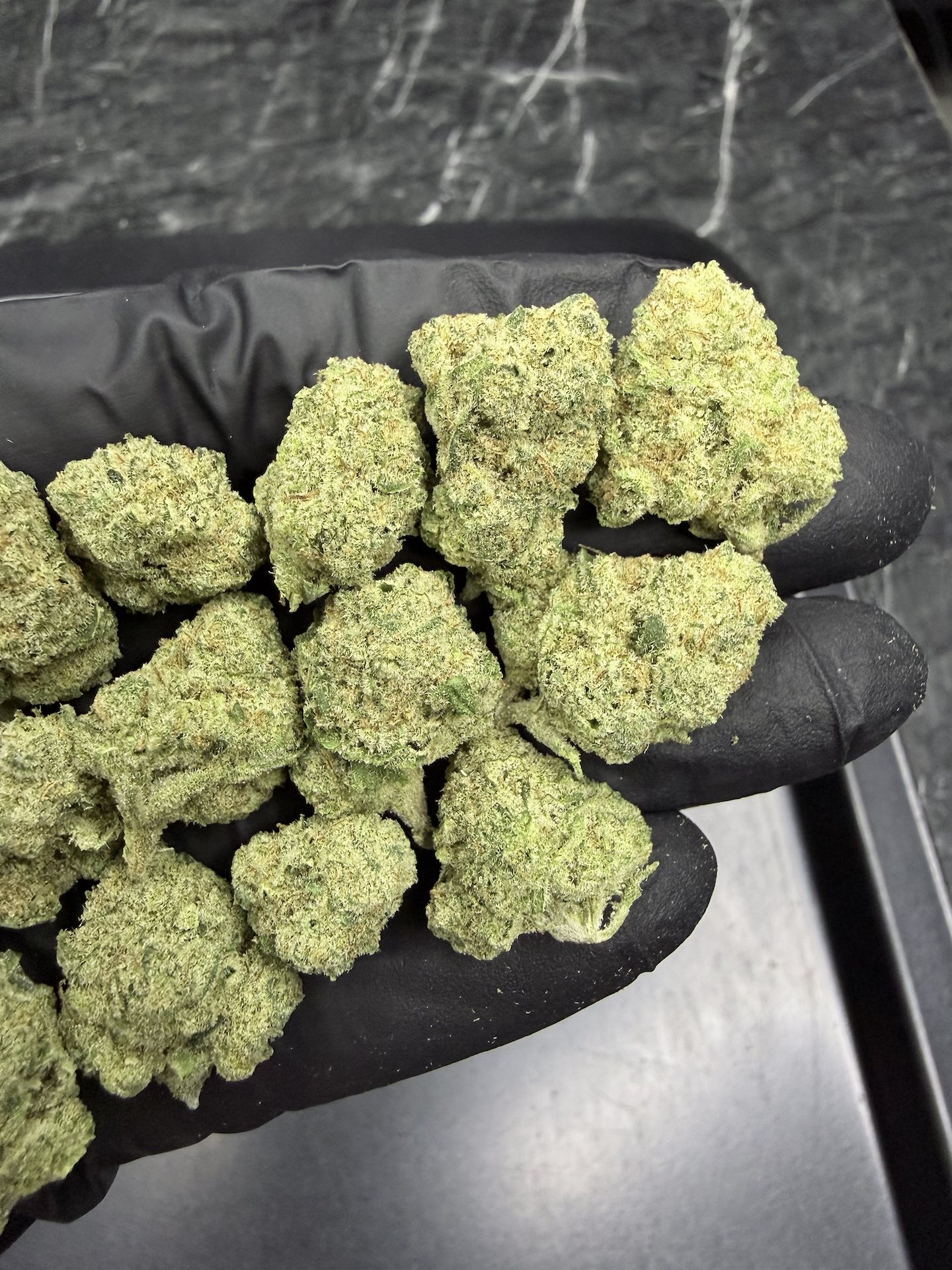 Future #1 By. Anesiaseeds THC 25-30% - Image 4