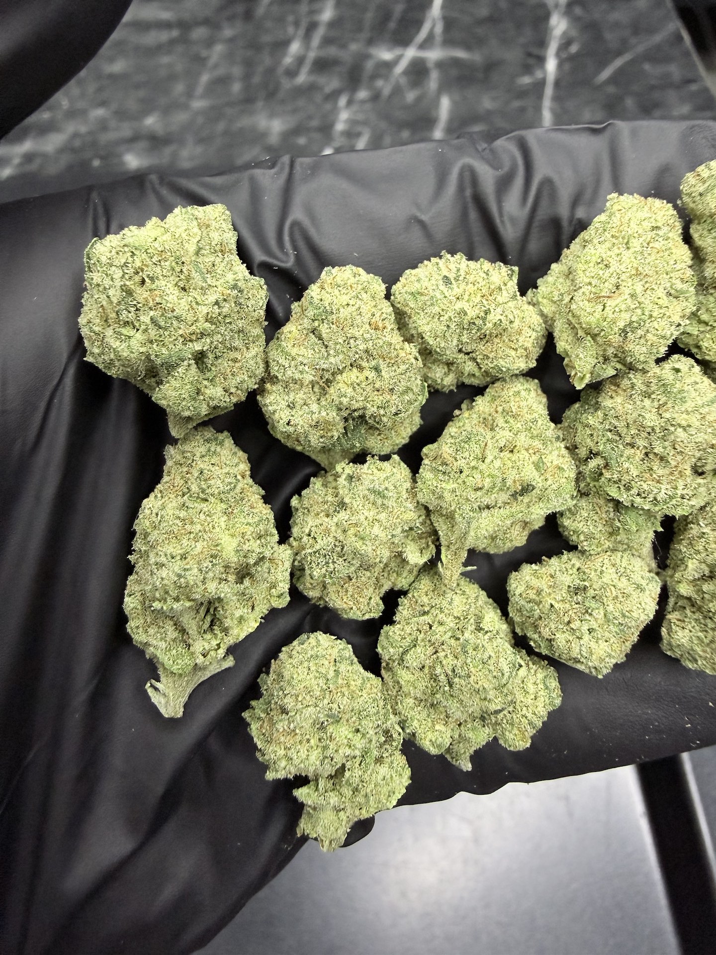 Future #1 By. Anesiaseeds THC 25-30% - Image 5