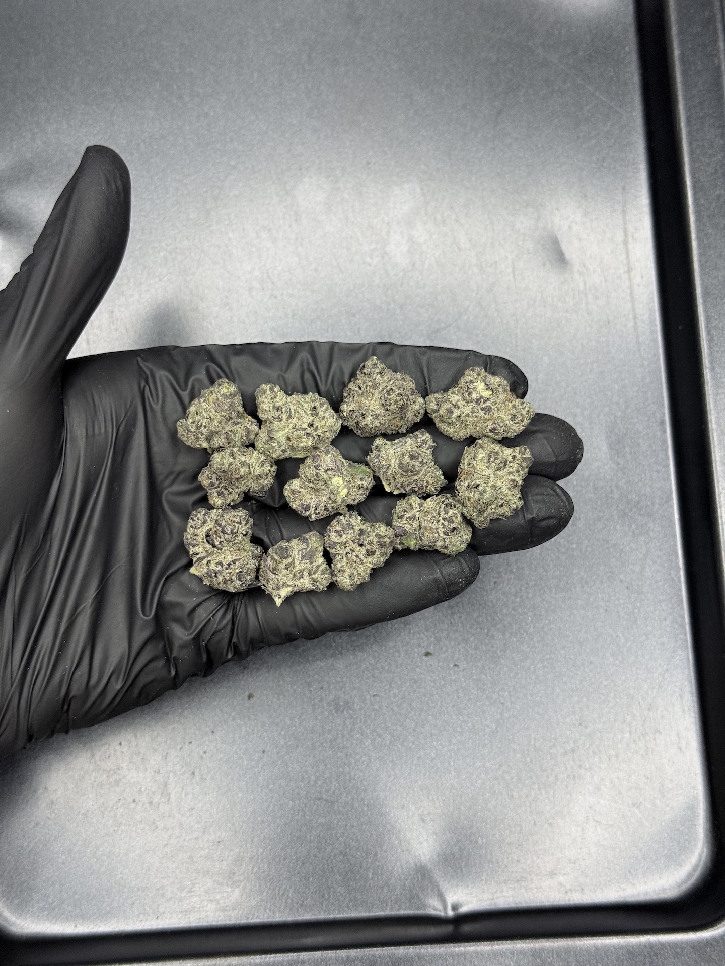 The Scrooge By. Compound Genetics THC 25-30% - Image 2