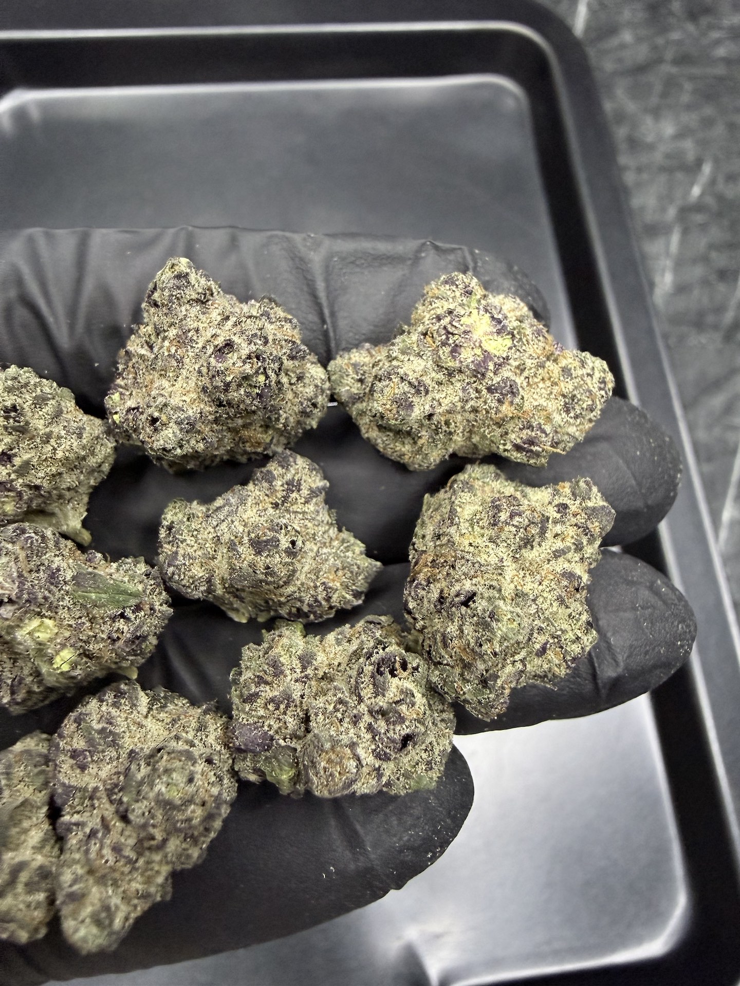 The Scrooge By. Compound Genetics THC 25-30% - Image 4