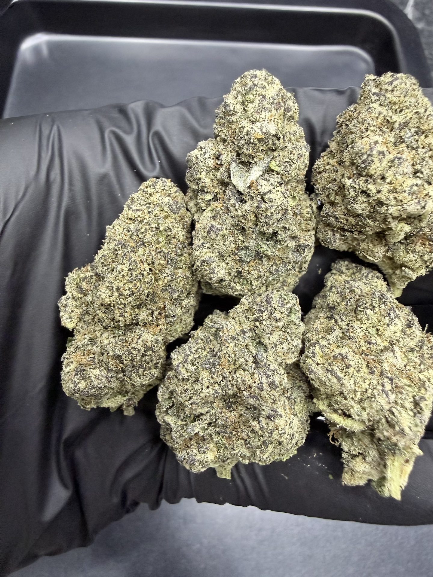 Permanent Marker By. Seed Junky THC 25-30% ð - Image 4