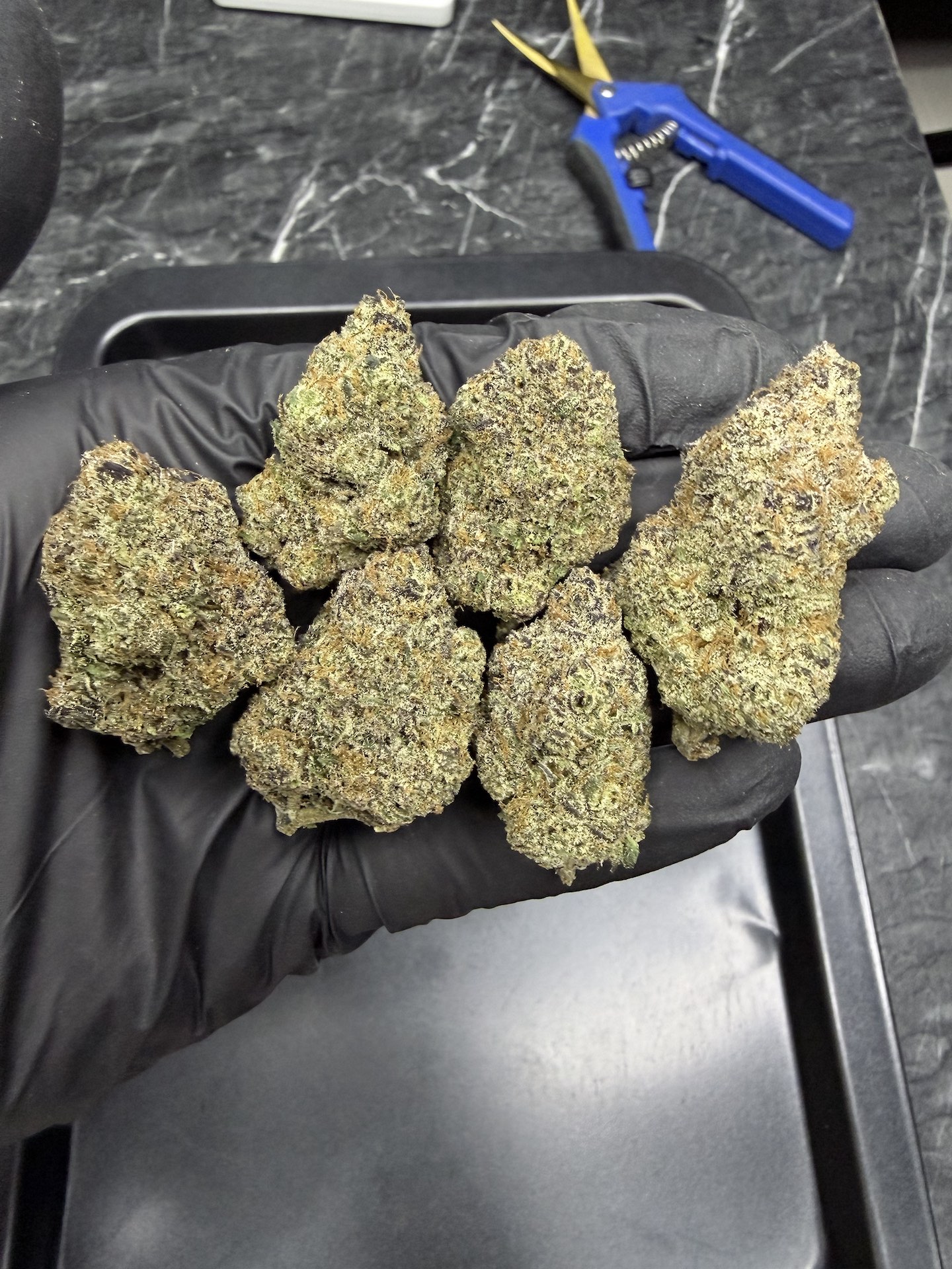 Grease Monkey By. Exotic Genetix THC 25-30% ð - Image 3