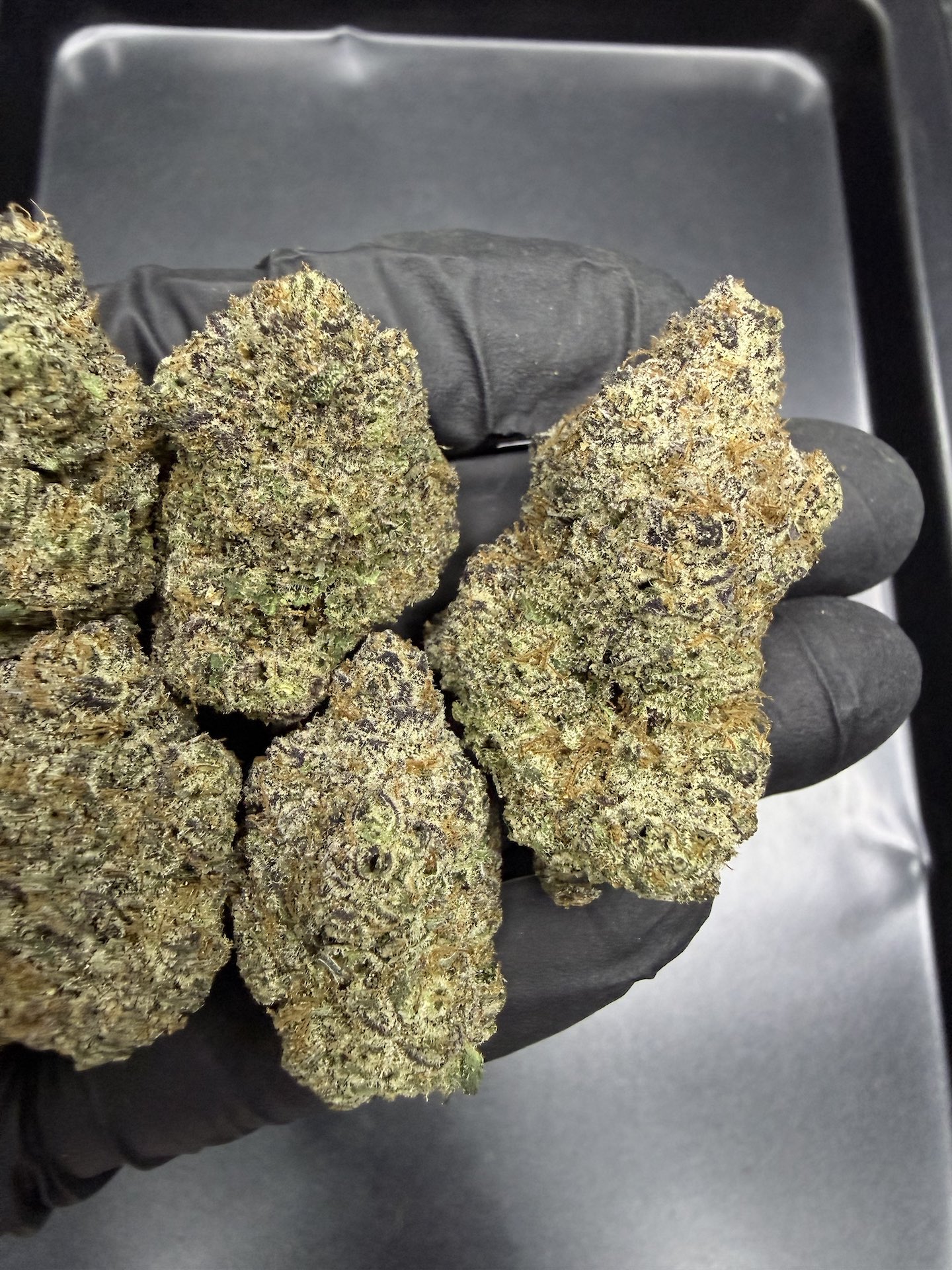 Grease Monkey By. Exotic Genetix THC 25-30% ð - Image 4