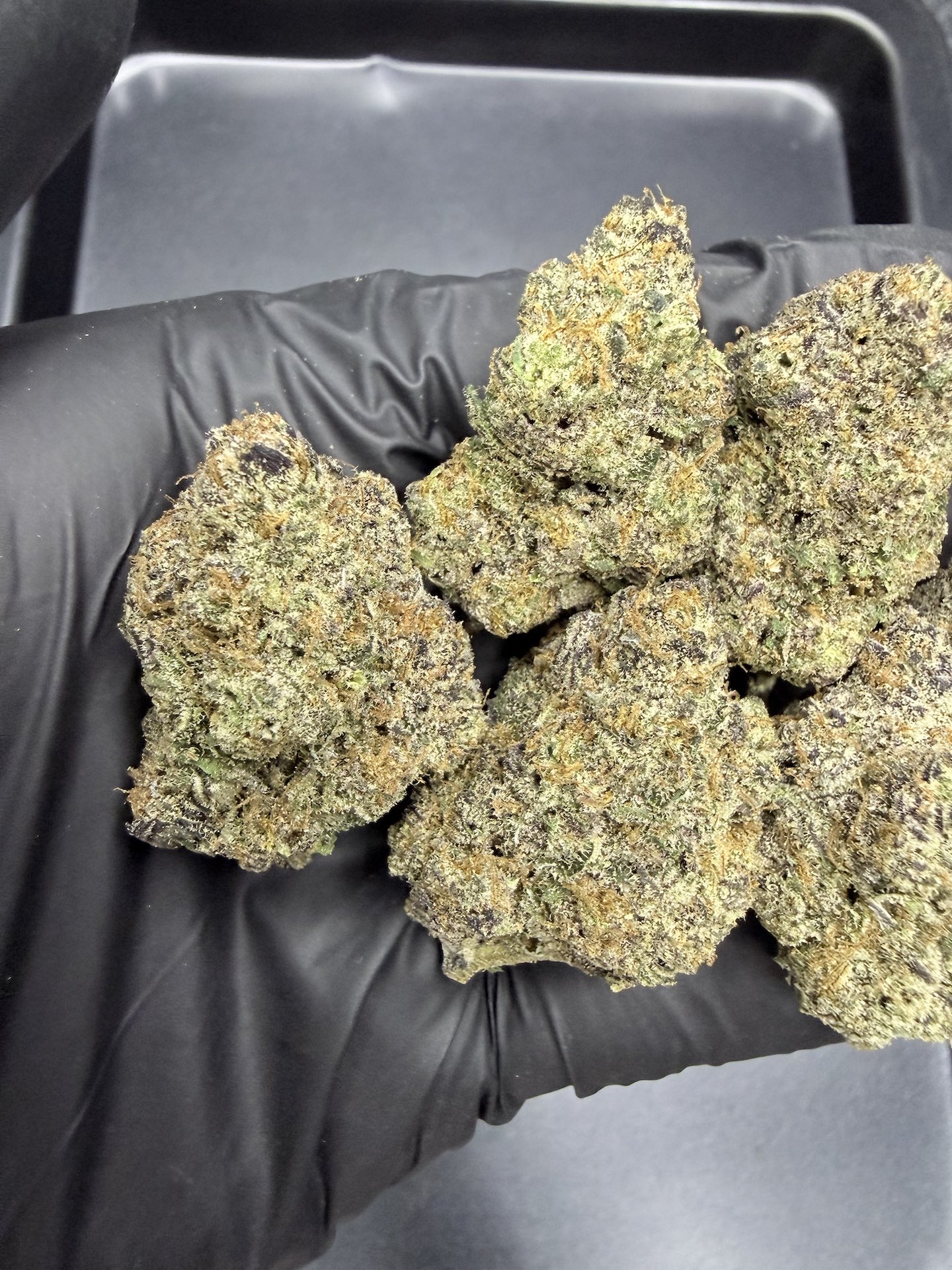 Grease Monkey By. Exotic Genetix THC 25-30% ð - Image 5