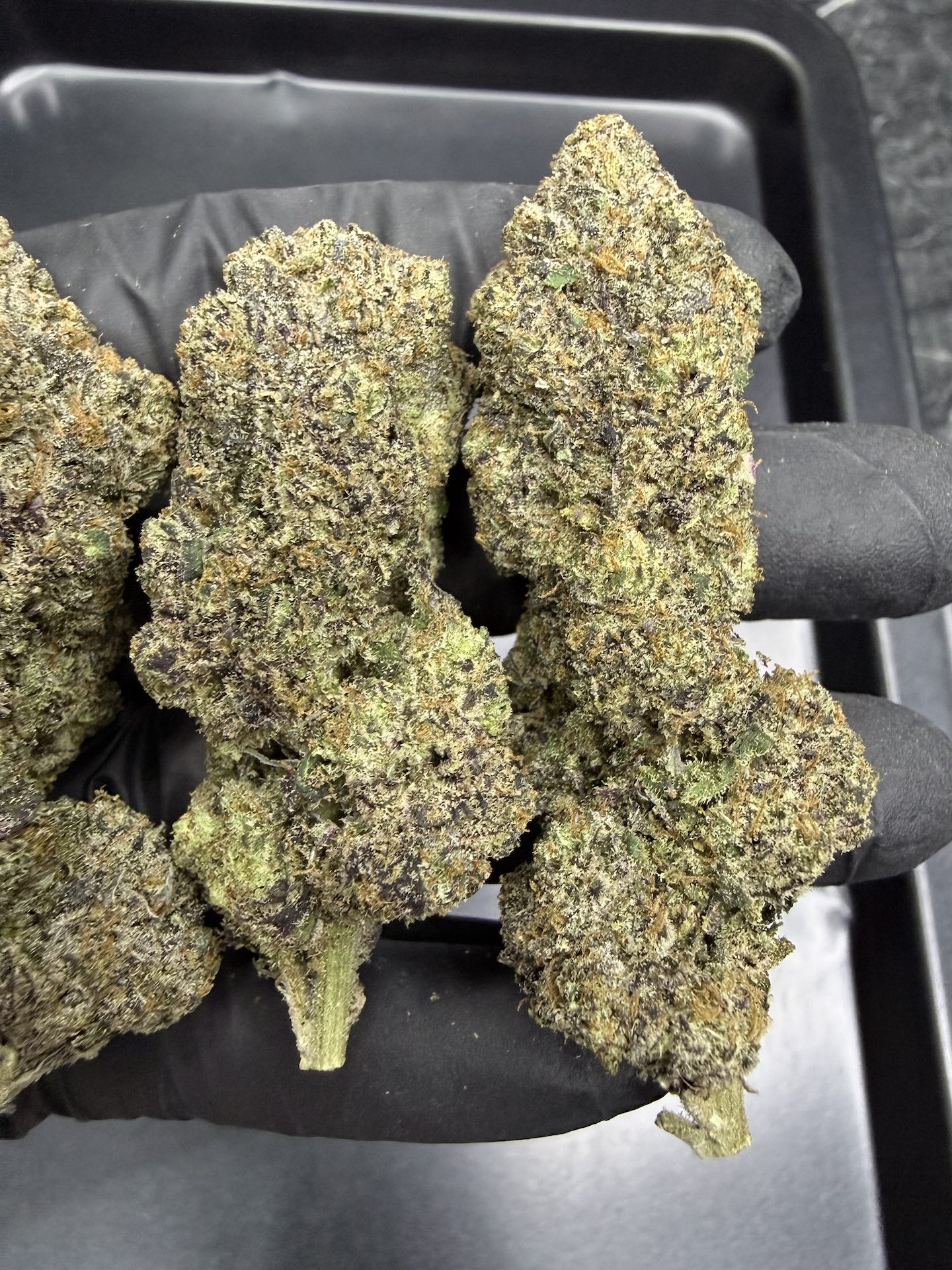 Wowzers By. Exotic Genetix THC 30%+ ð - Image 4