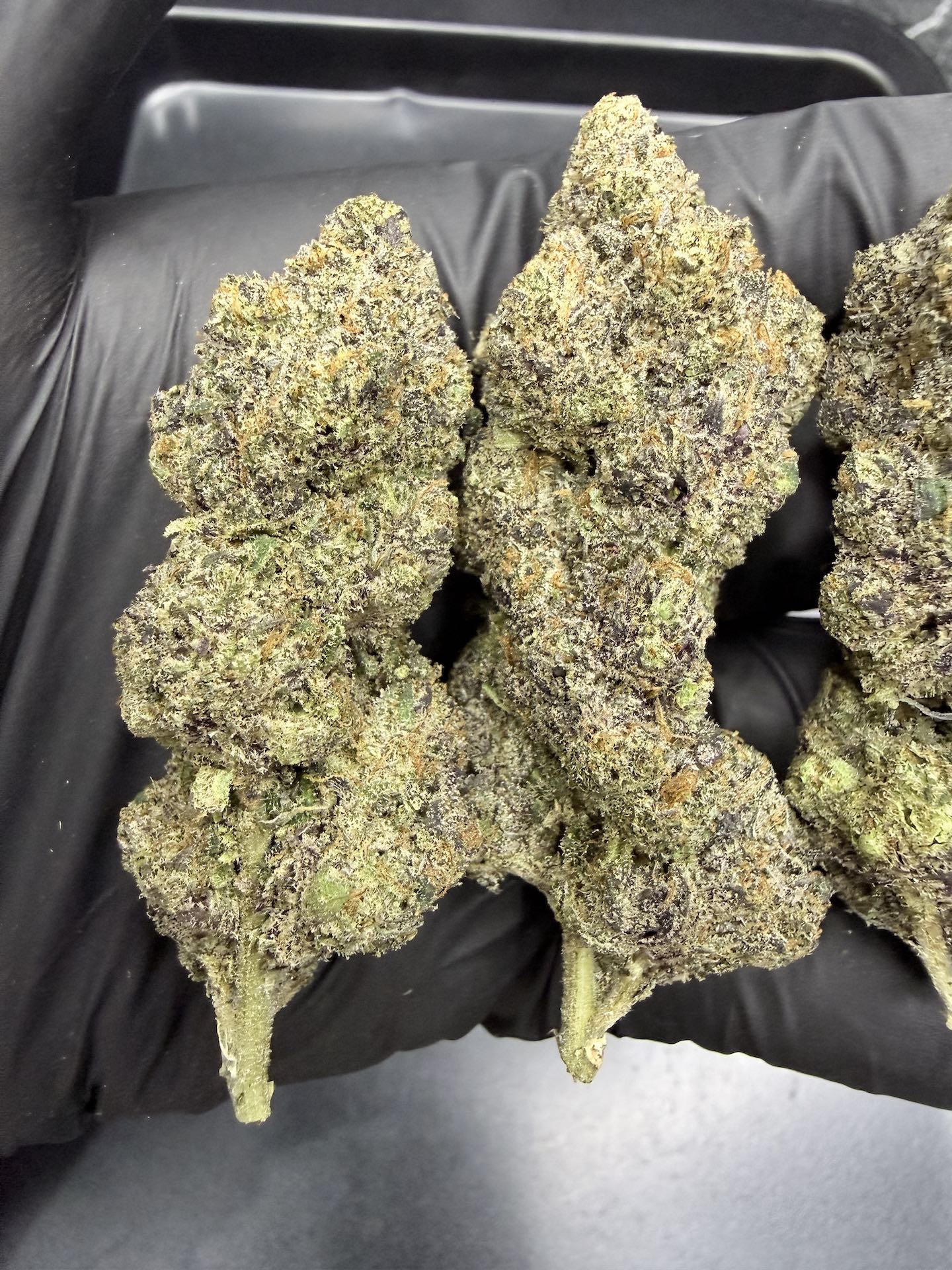 Wowzers By. Exotic Genetix THC 30%+ ð - Image 5