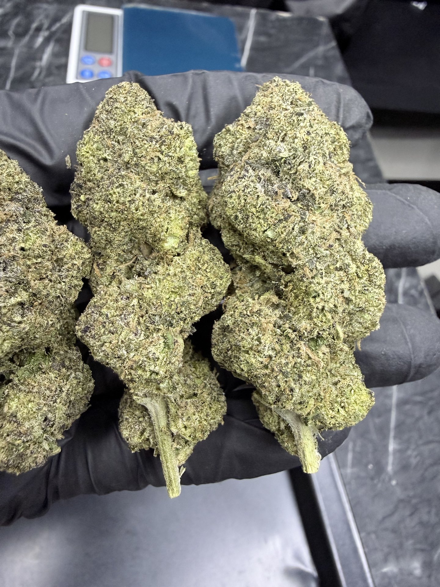 Cherry Bang Bang By. Exotic Genetix THC 30%+ ð - Image 4
