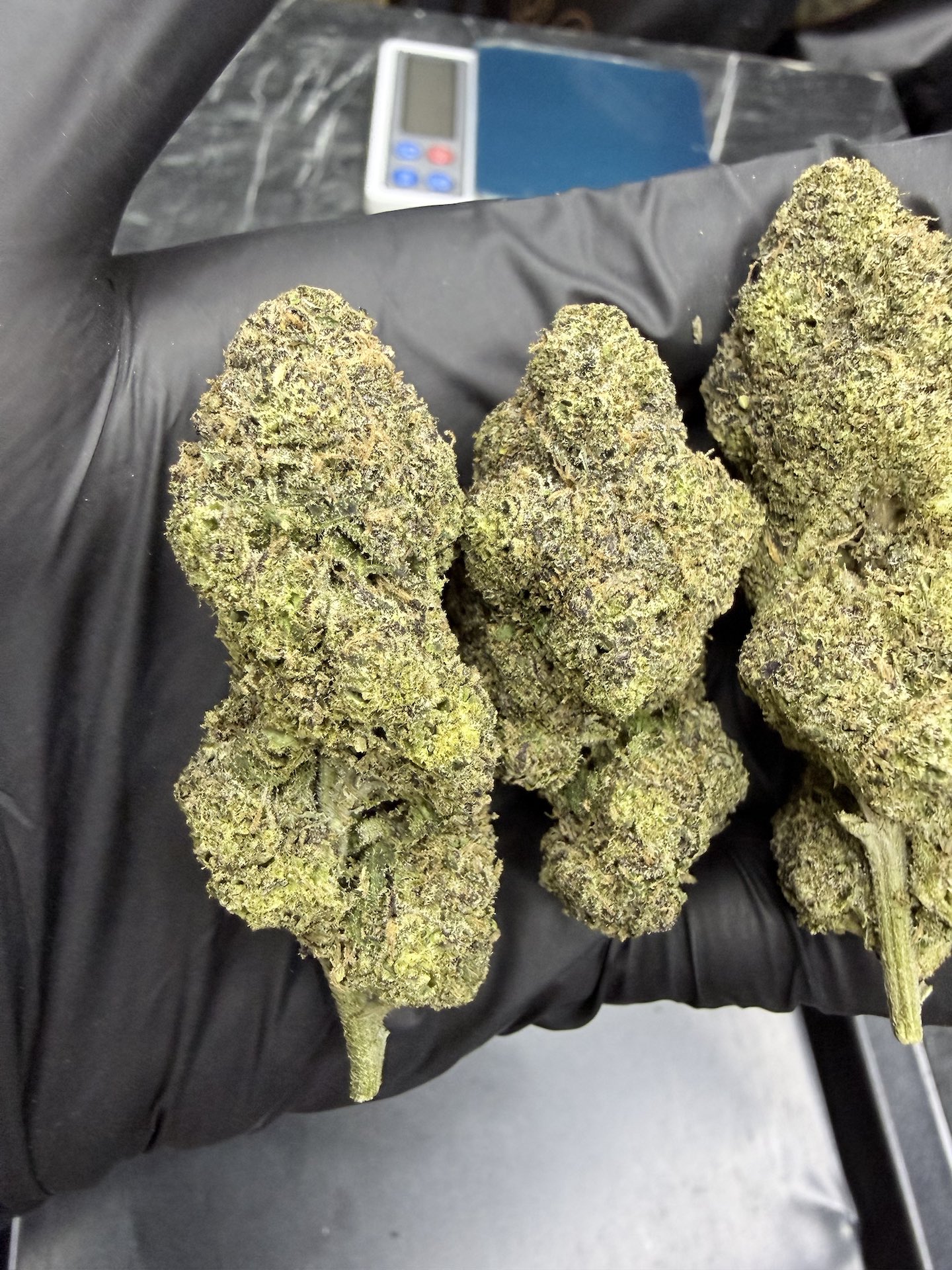 Cherry Bang Bang By. Exotic Genetix THC 30%+ ð - Image 5