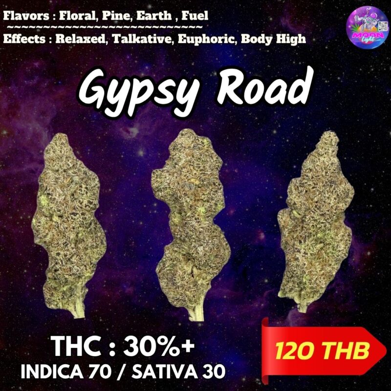 Gypsy Road By. Honey Sticks Genetics THC 30%+ 🌕