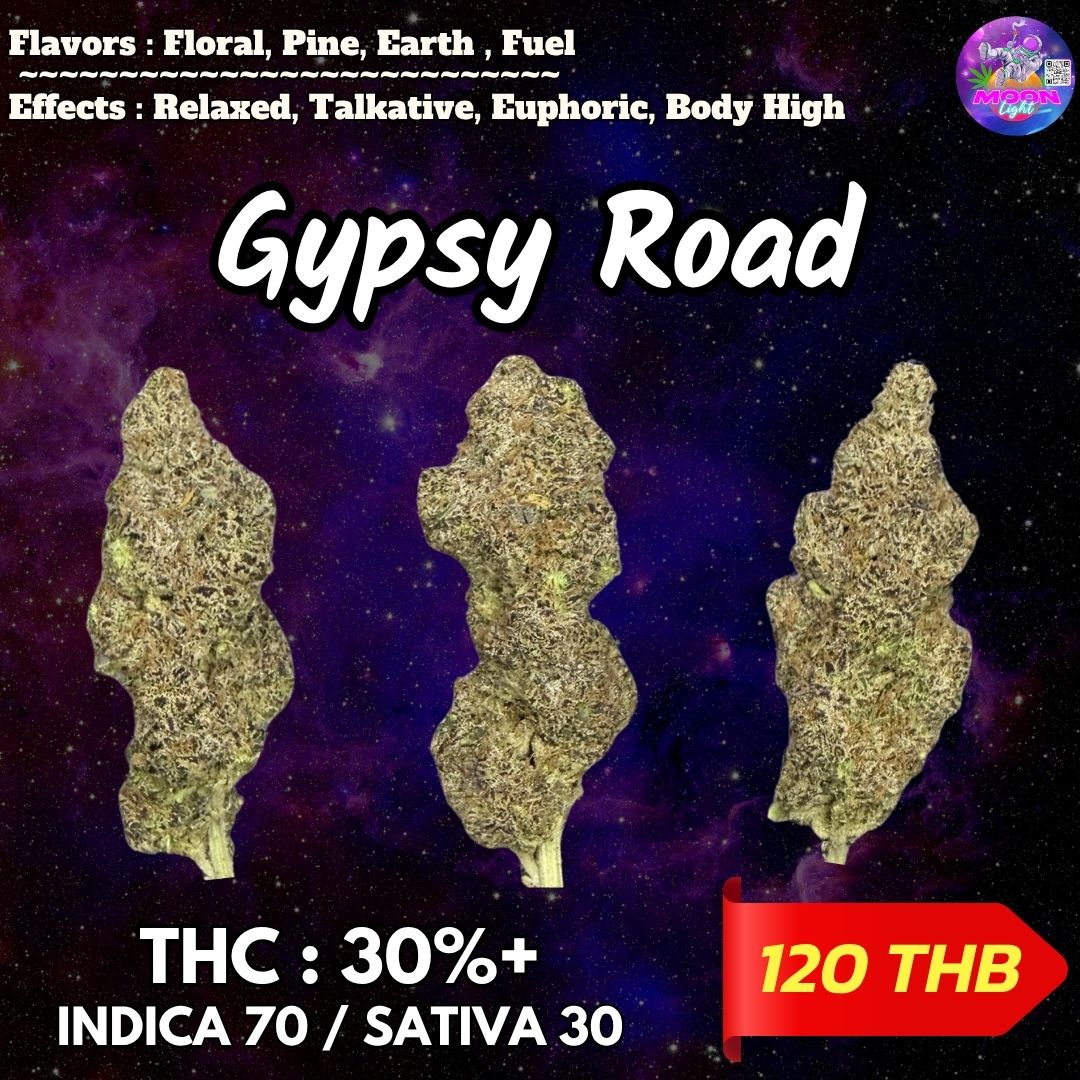 Gypsy Road By. Honey Sticks Genetics THC 30%+ 🌕