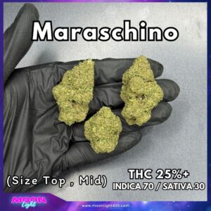Maraschino THC 25%+ 🛸