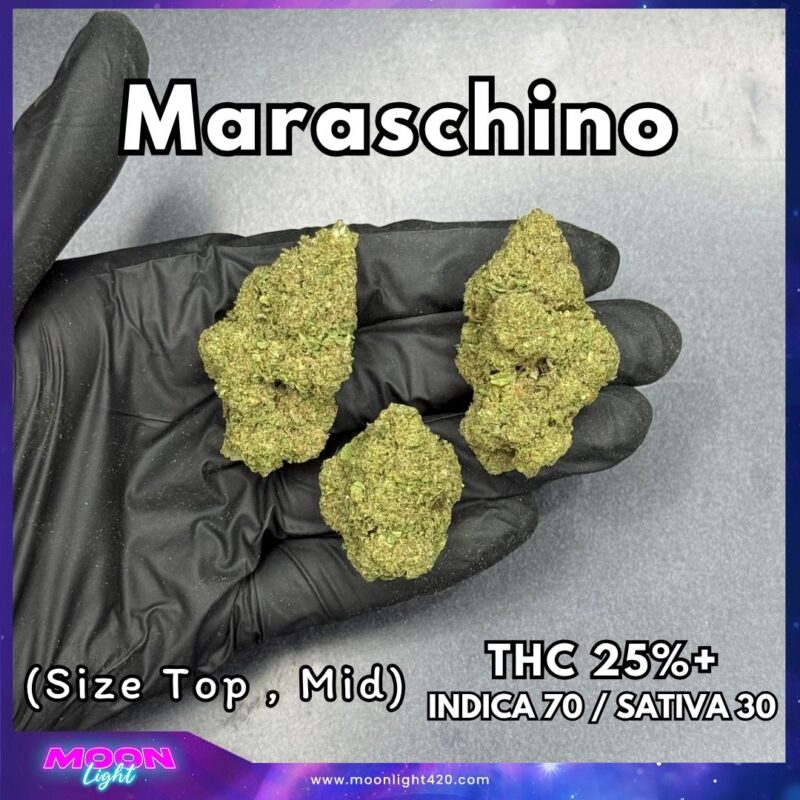 Maraschino   THC 25%+ 🛸