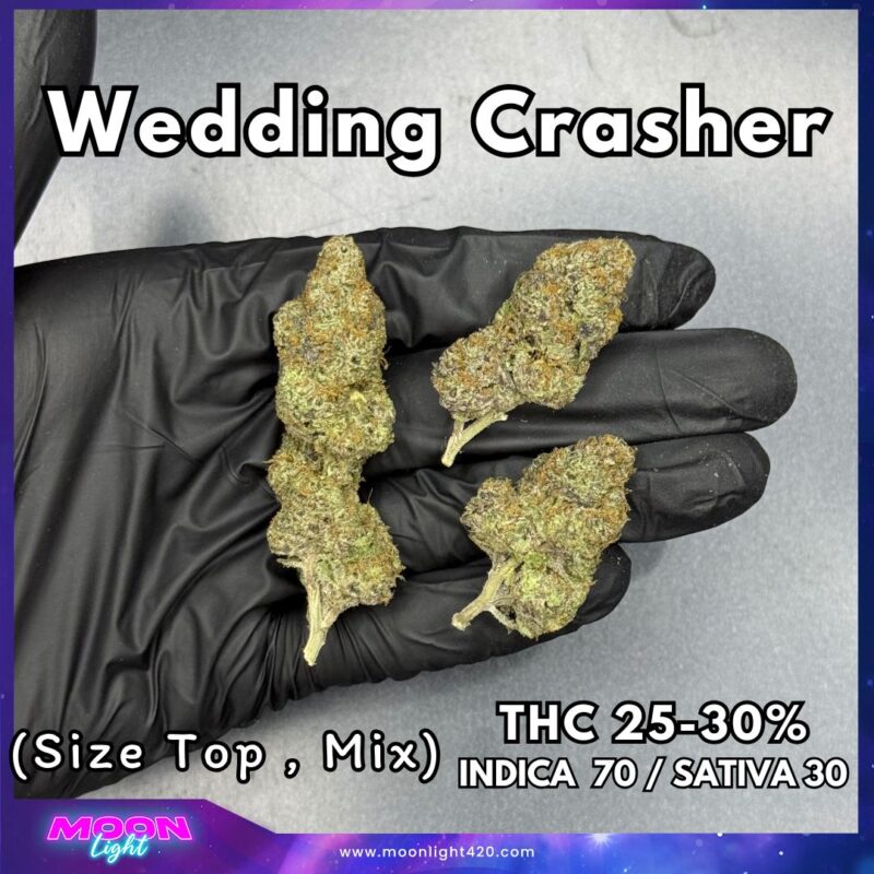 Wedding Crasher By. Symbiotic Genetics THC 25-30% 🚀