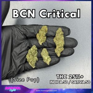 BCN Critical THC 25%+ 🛸