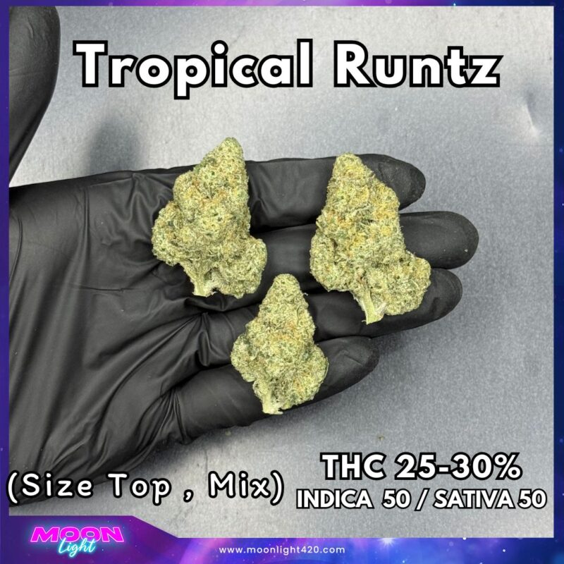 Tropical Runtz By. Exotic Genetix THC 25-30%