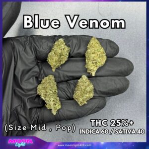 Blue Venom THC 25%+ 🛸