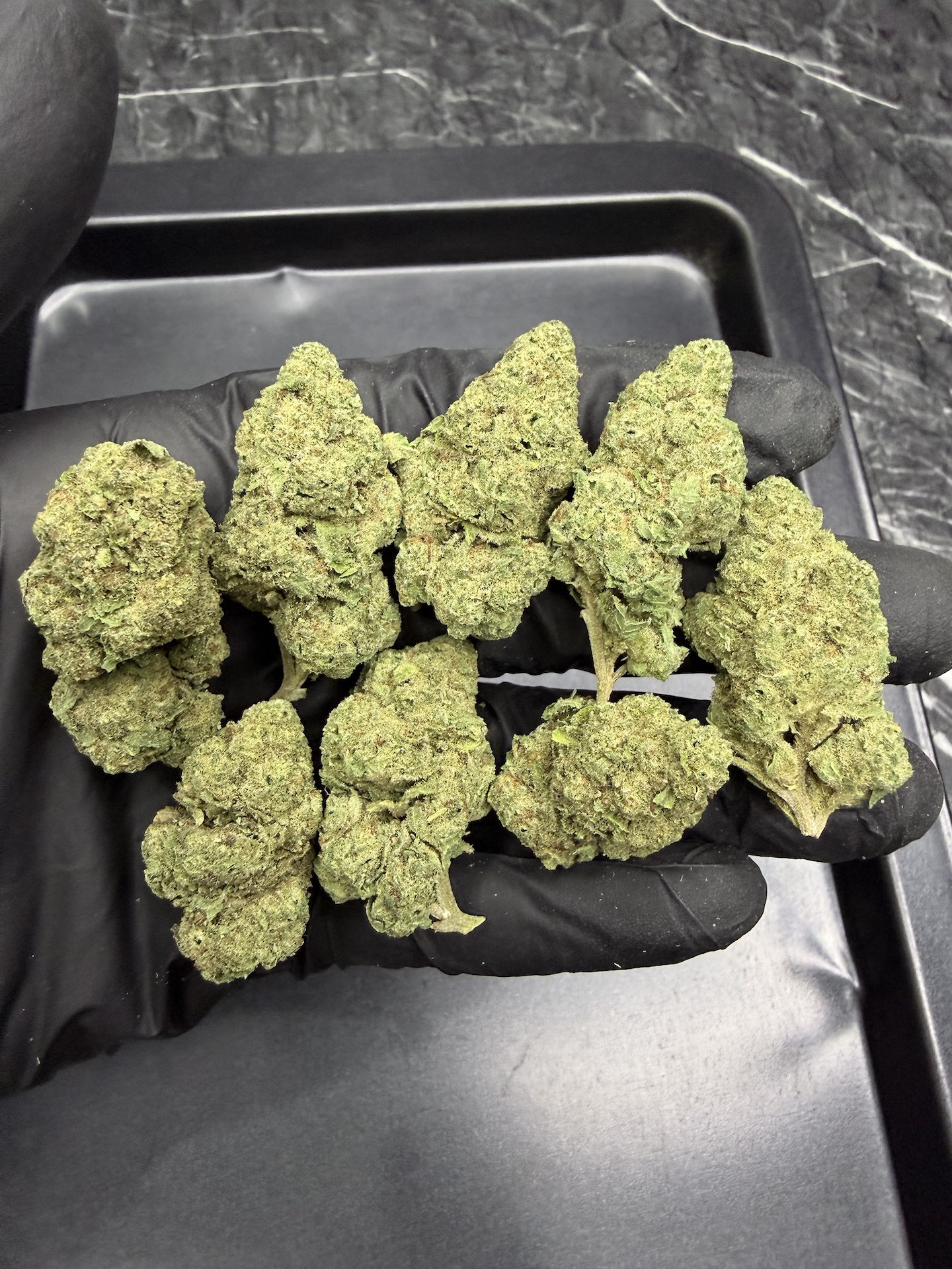 Cafe Racer THC 25%+ ðļ - Image 3