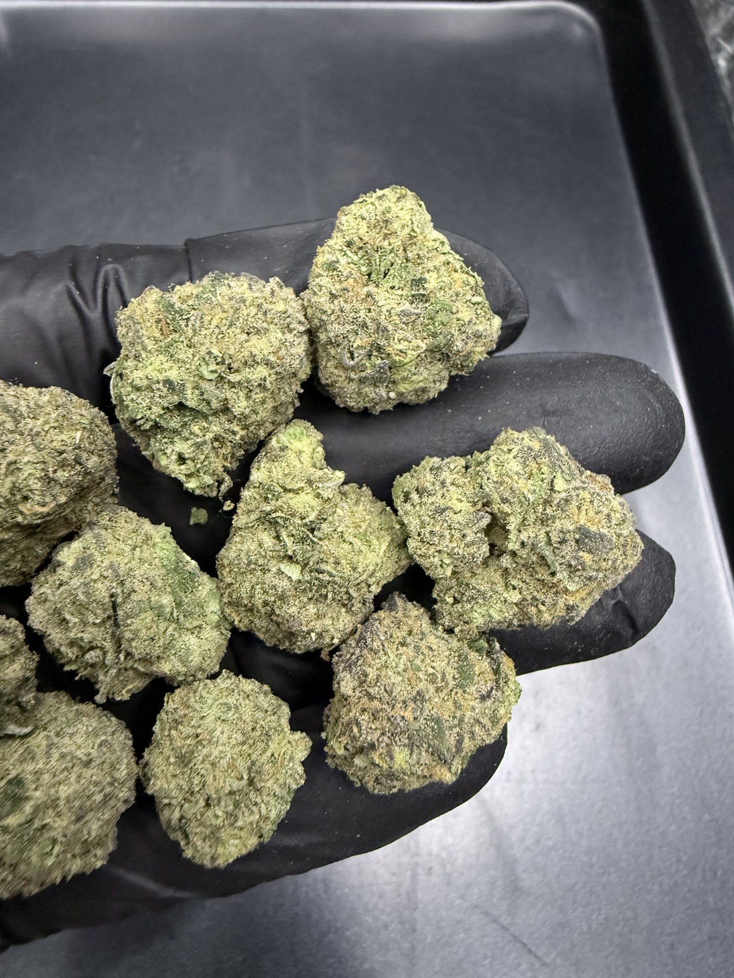 Rocket Candy By. Green Lab Genetics THC 25-30% ð - Image 4