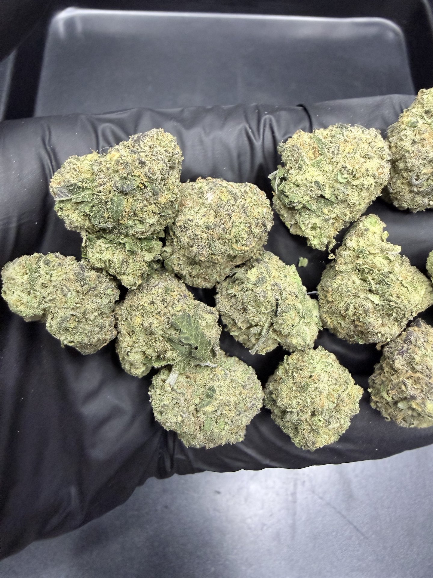 Rocket Candy By. Green Lab Genetics THC 25-30% ð - Image 5