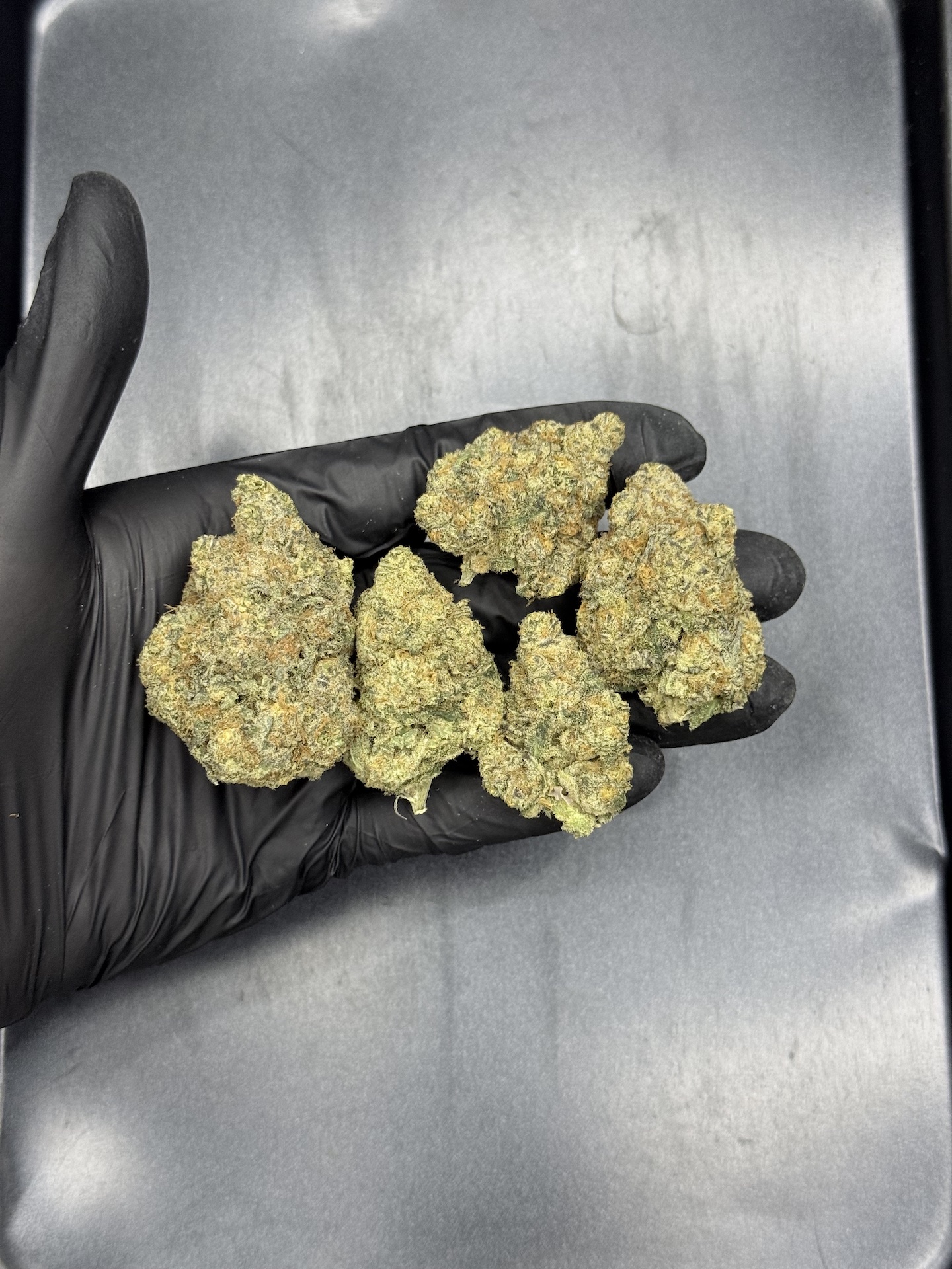 Black Domina By. DNA genetics THC 25-30% ð - Image 2