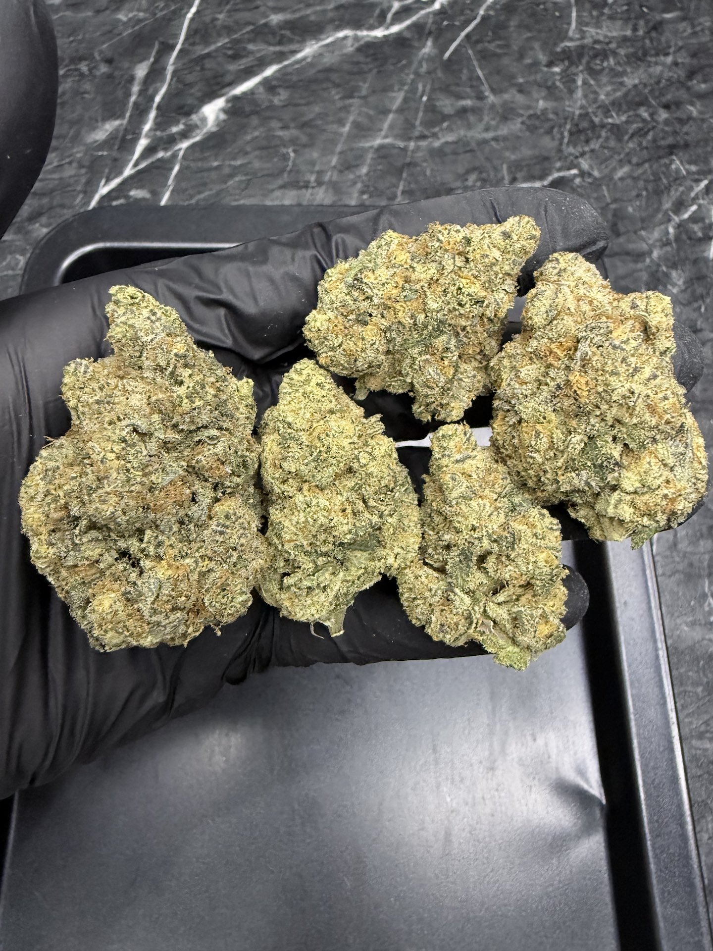 Black Domina By. DNA genetics THC 25-30% ð - Image 3