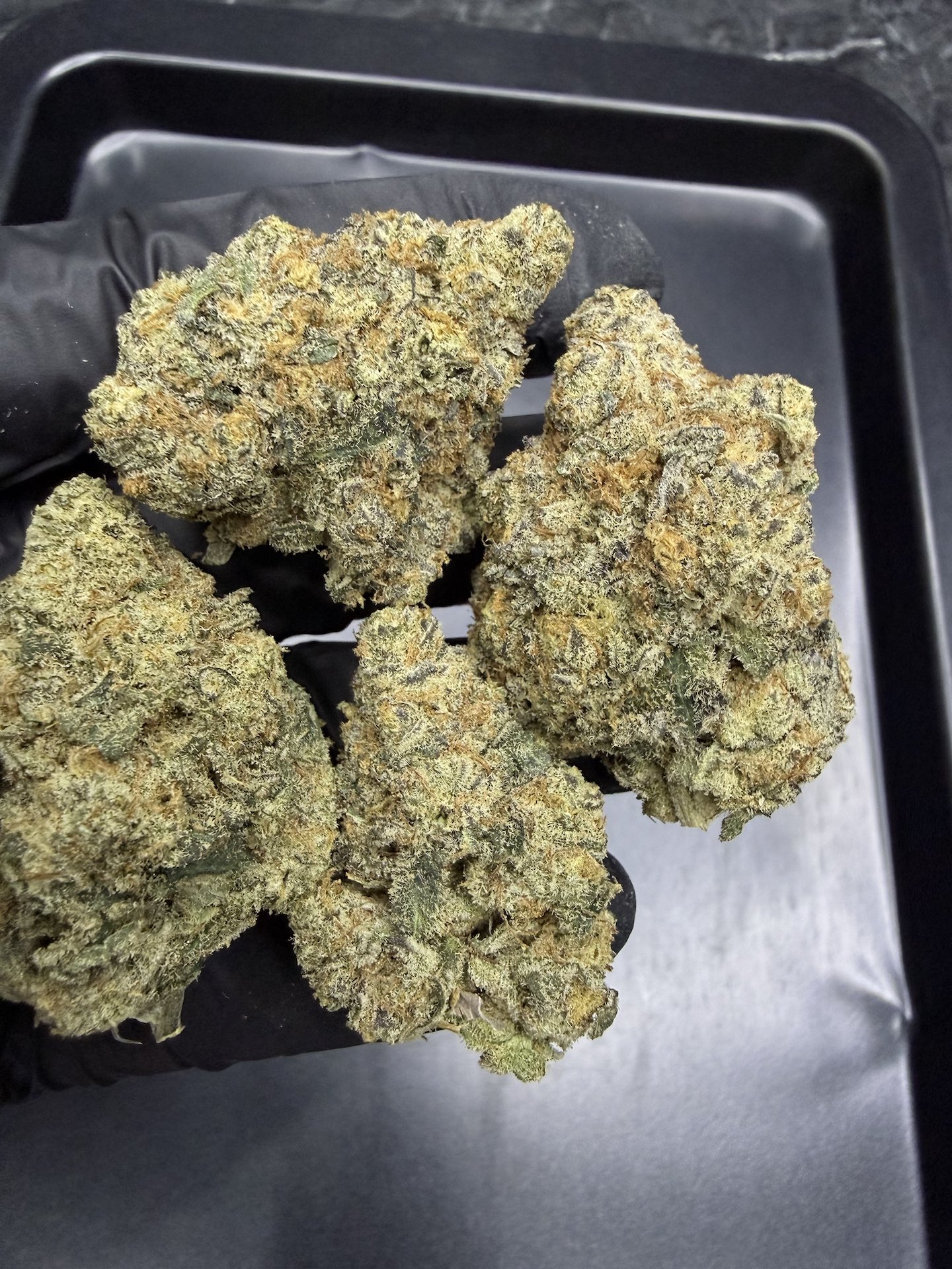 Black Domina By. DNA genetics THC 25-30% ð - Image 4