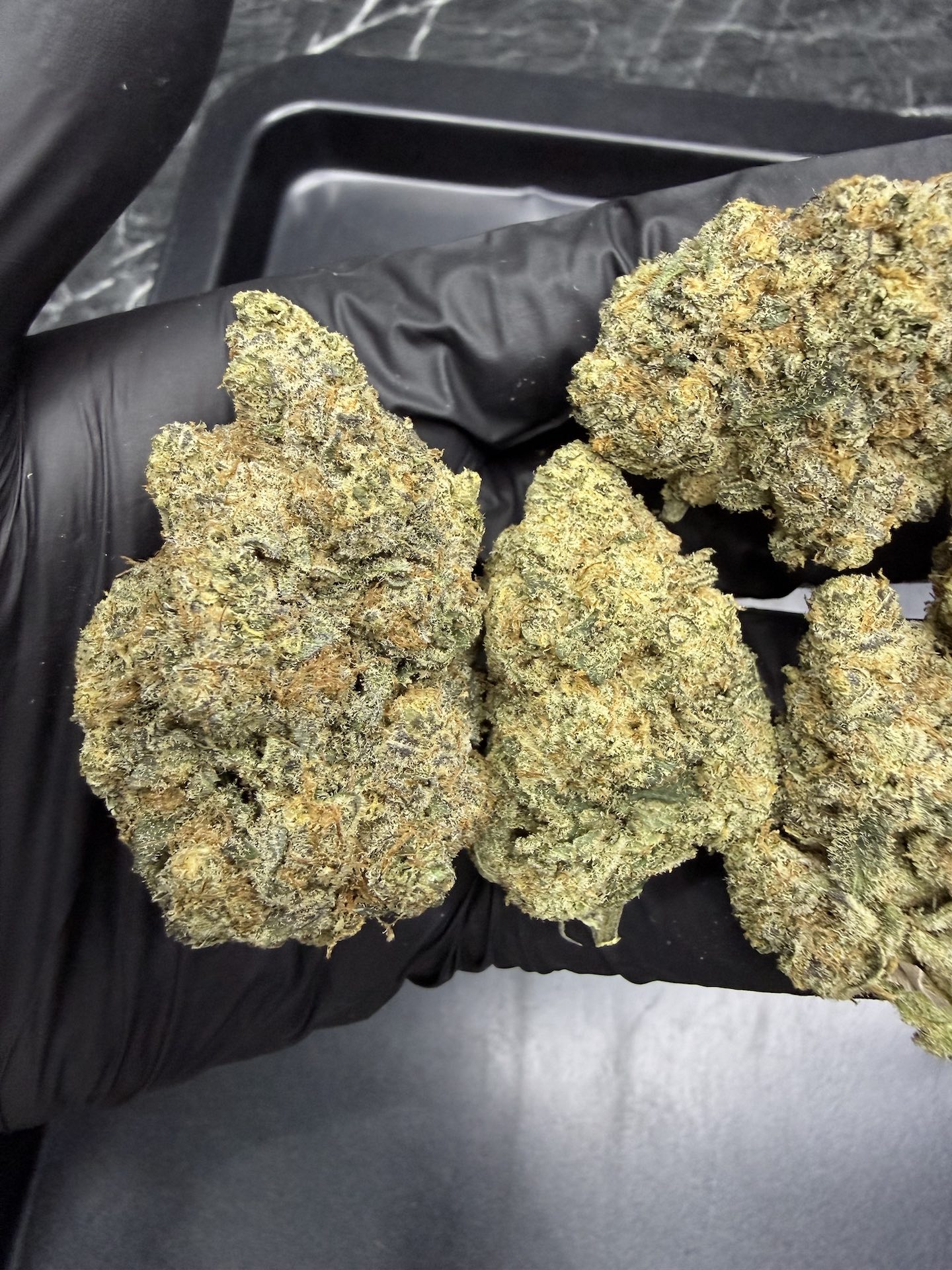 Black Domina By. DNA genetics THC 25-30% ð - Image 5