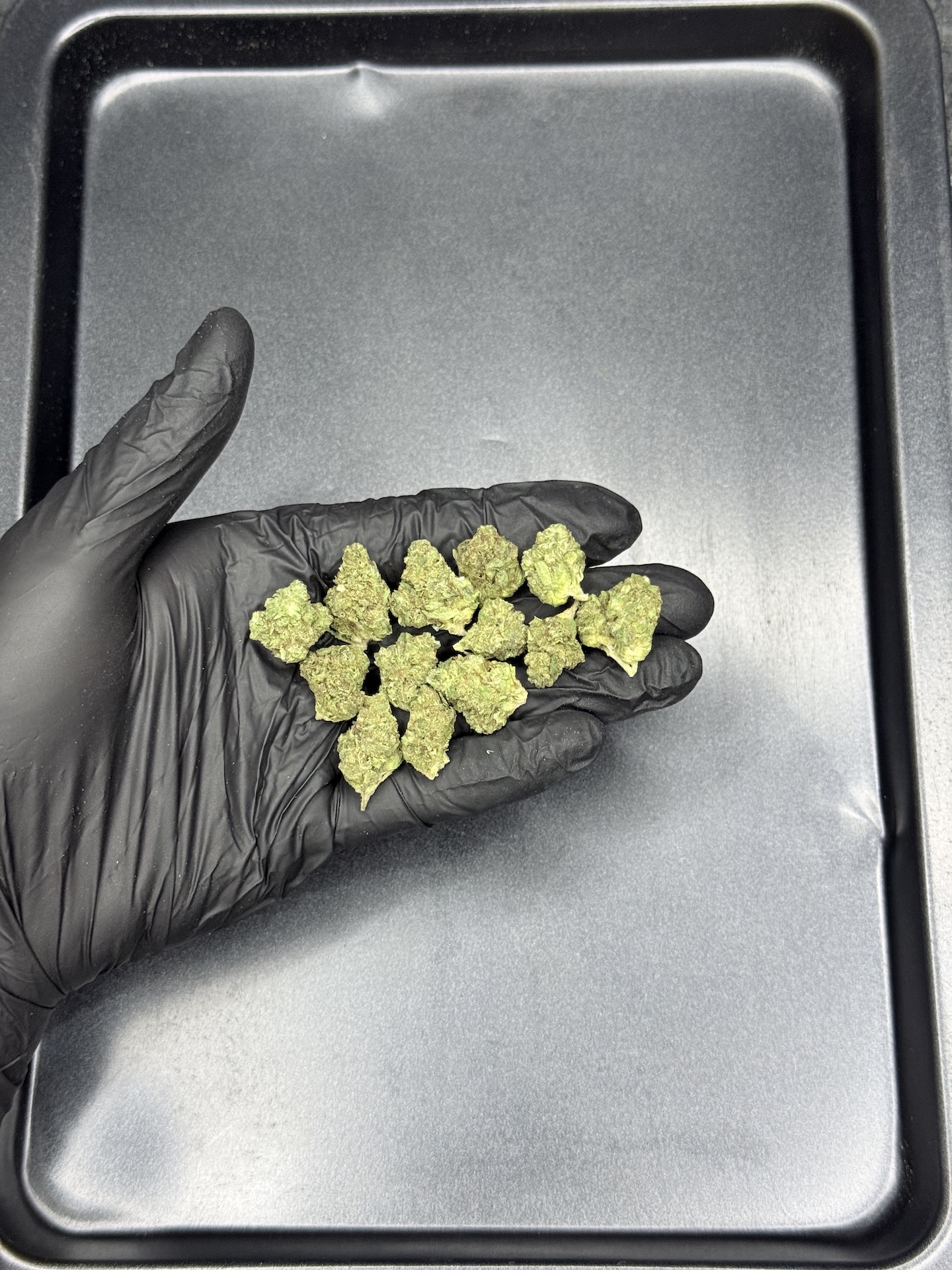 Blazed Muay Thai THC 25%+ ðļ - Image 2