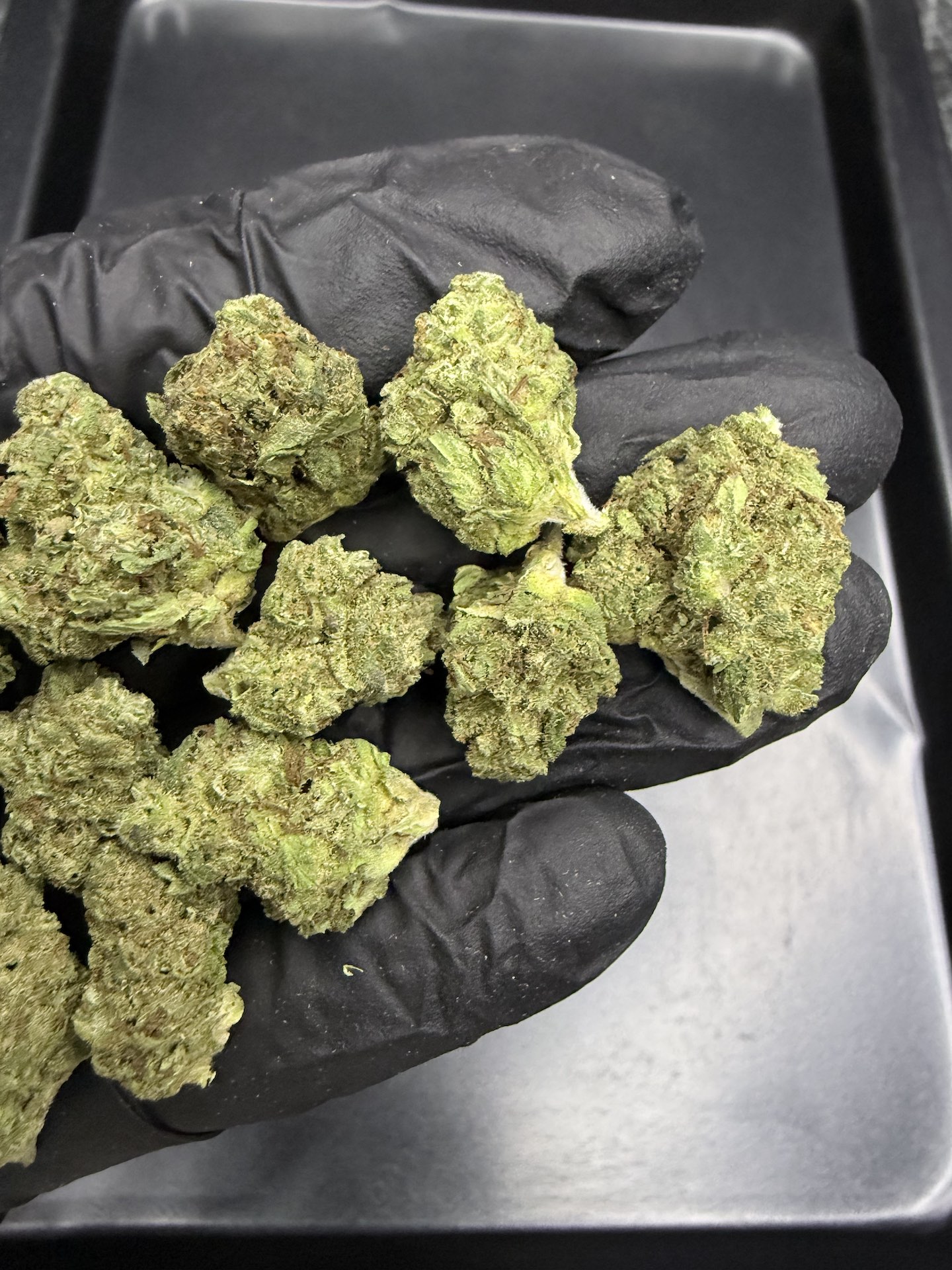 Blazed Muay Thai THC 25%+ ðļ - Image 3