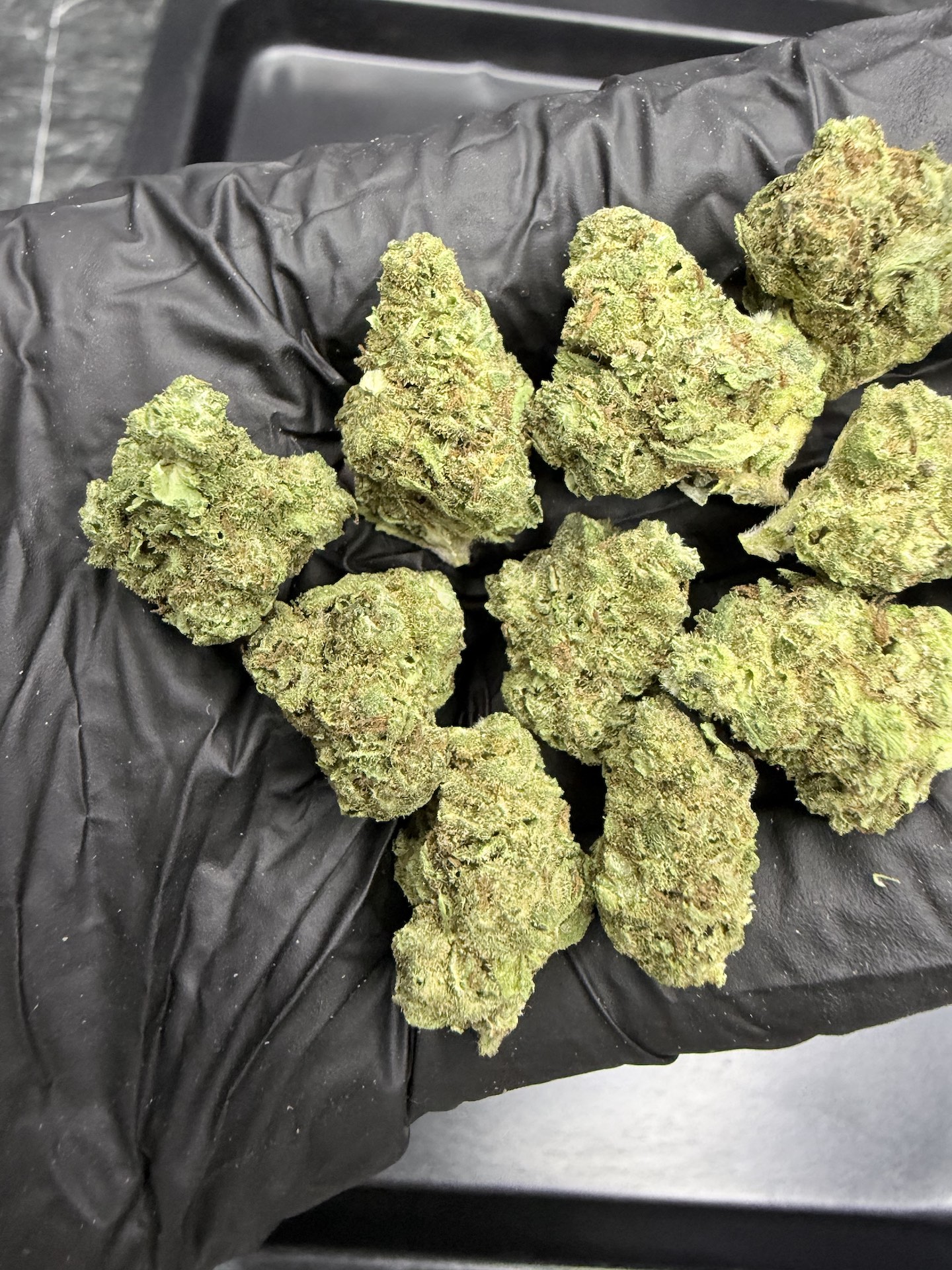 Blazed Muay Thai THC 25%+ ðļ - Image 4