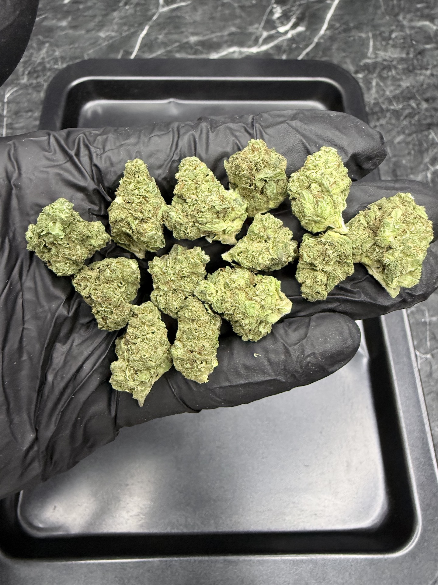 Blazed Muay Thai THC 25%+ ðļ - Image 5